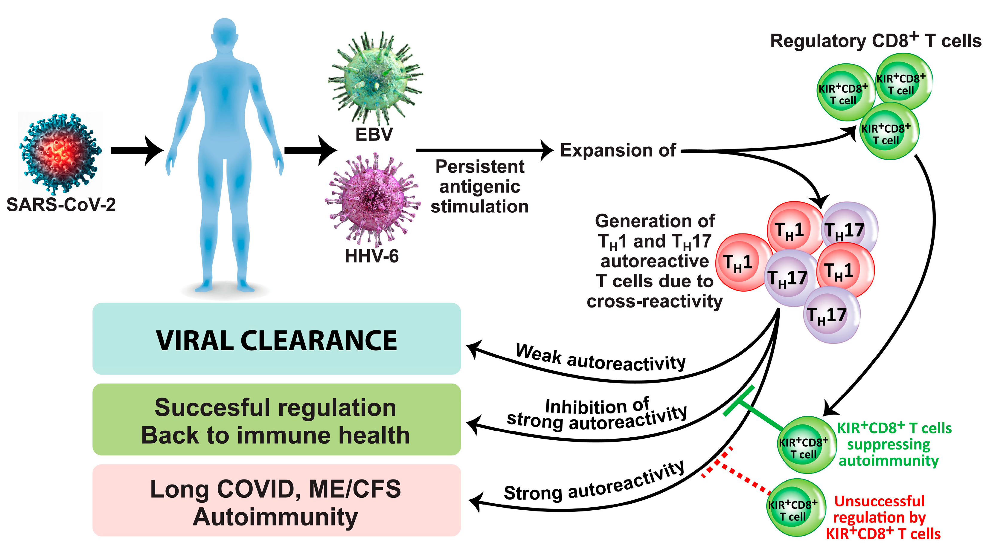 Microorganisms 12 00230 g001