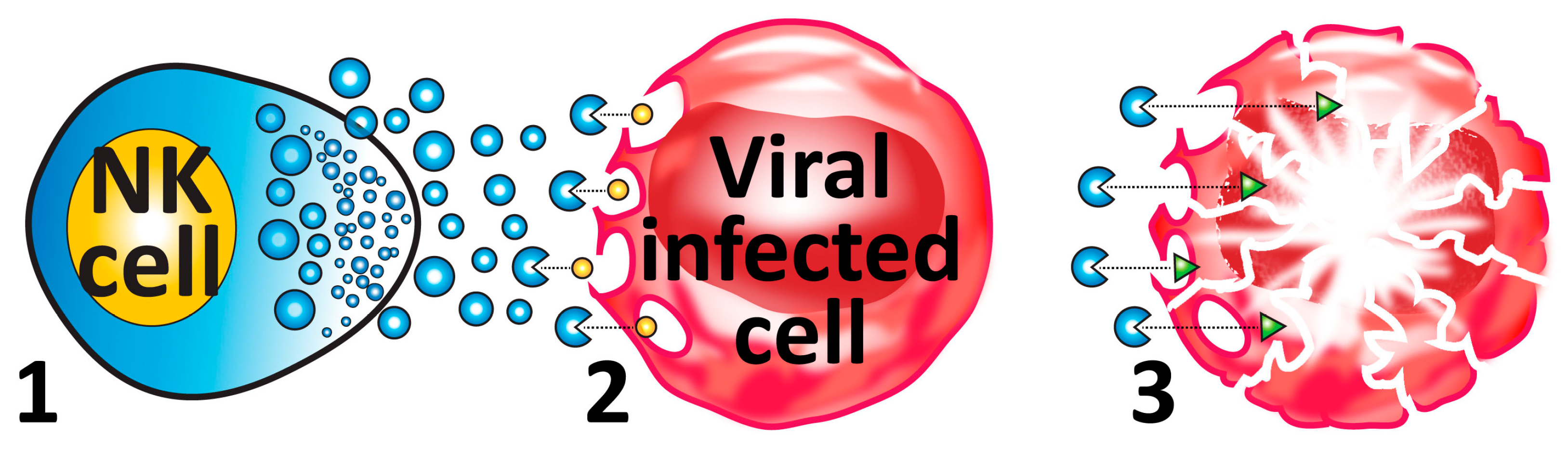 Microorganisms 12 00230 g004