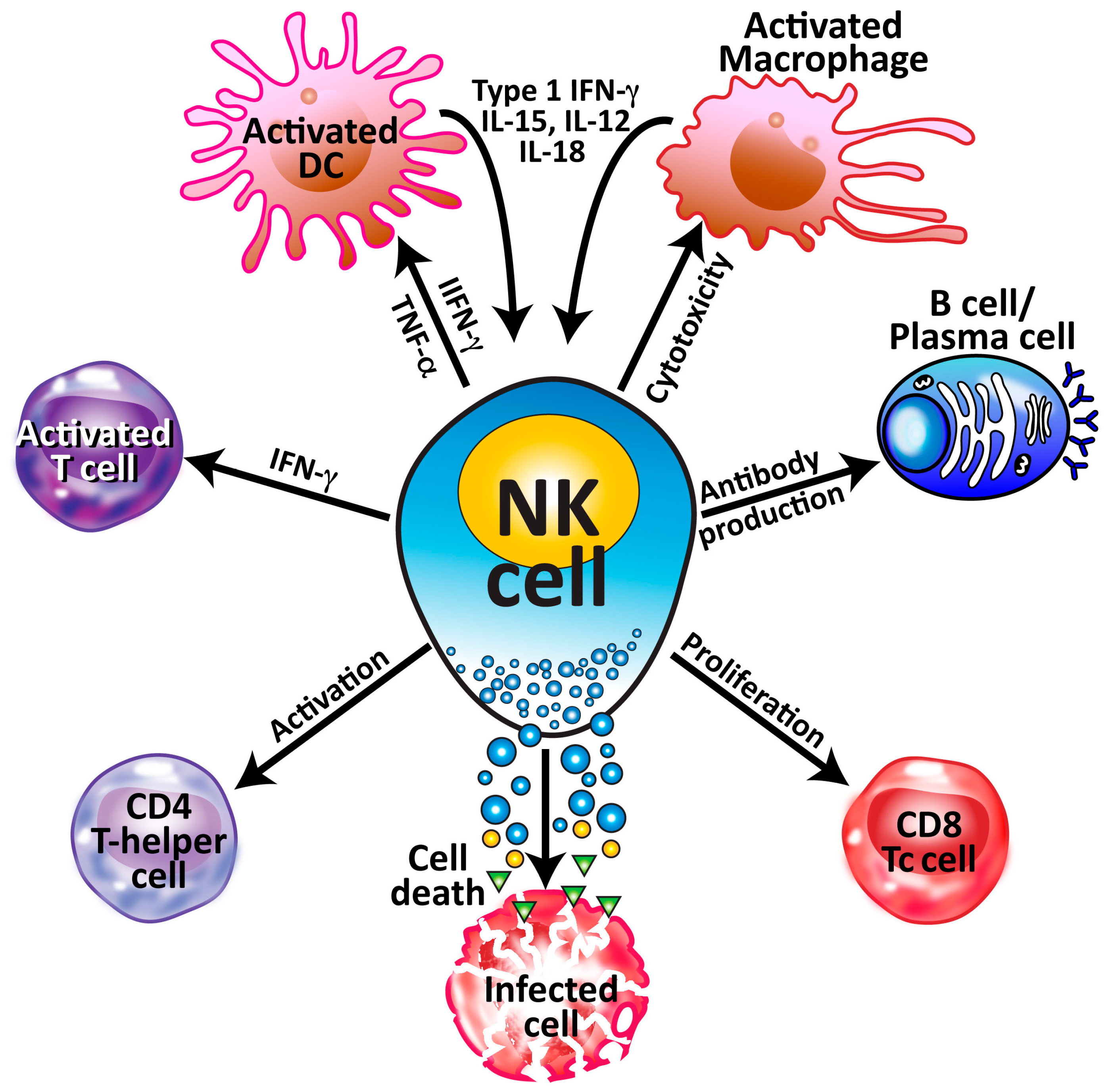 Microorganisms 12 00230 g005