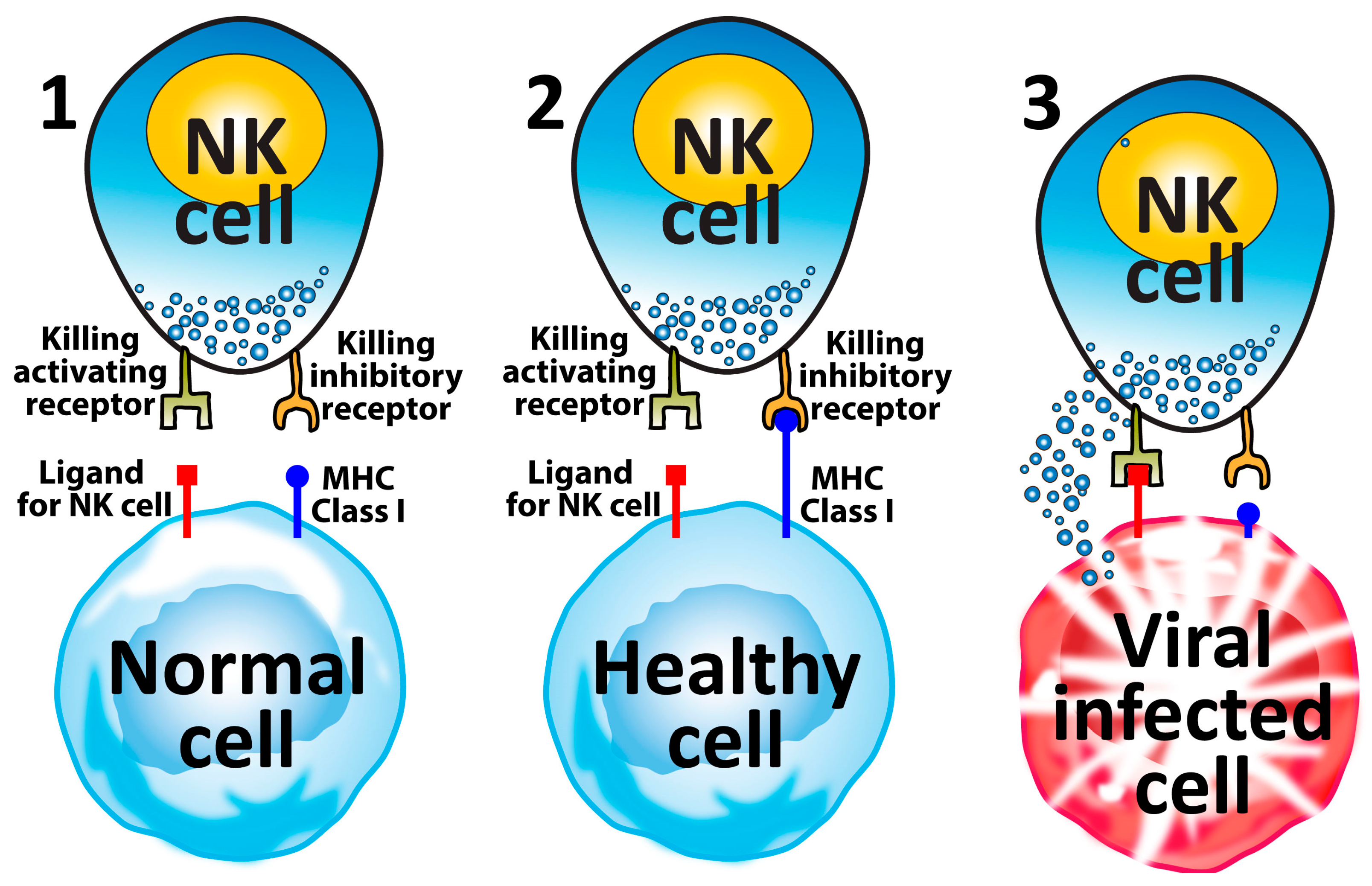 Microorganisms 12 00230 g006
