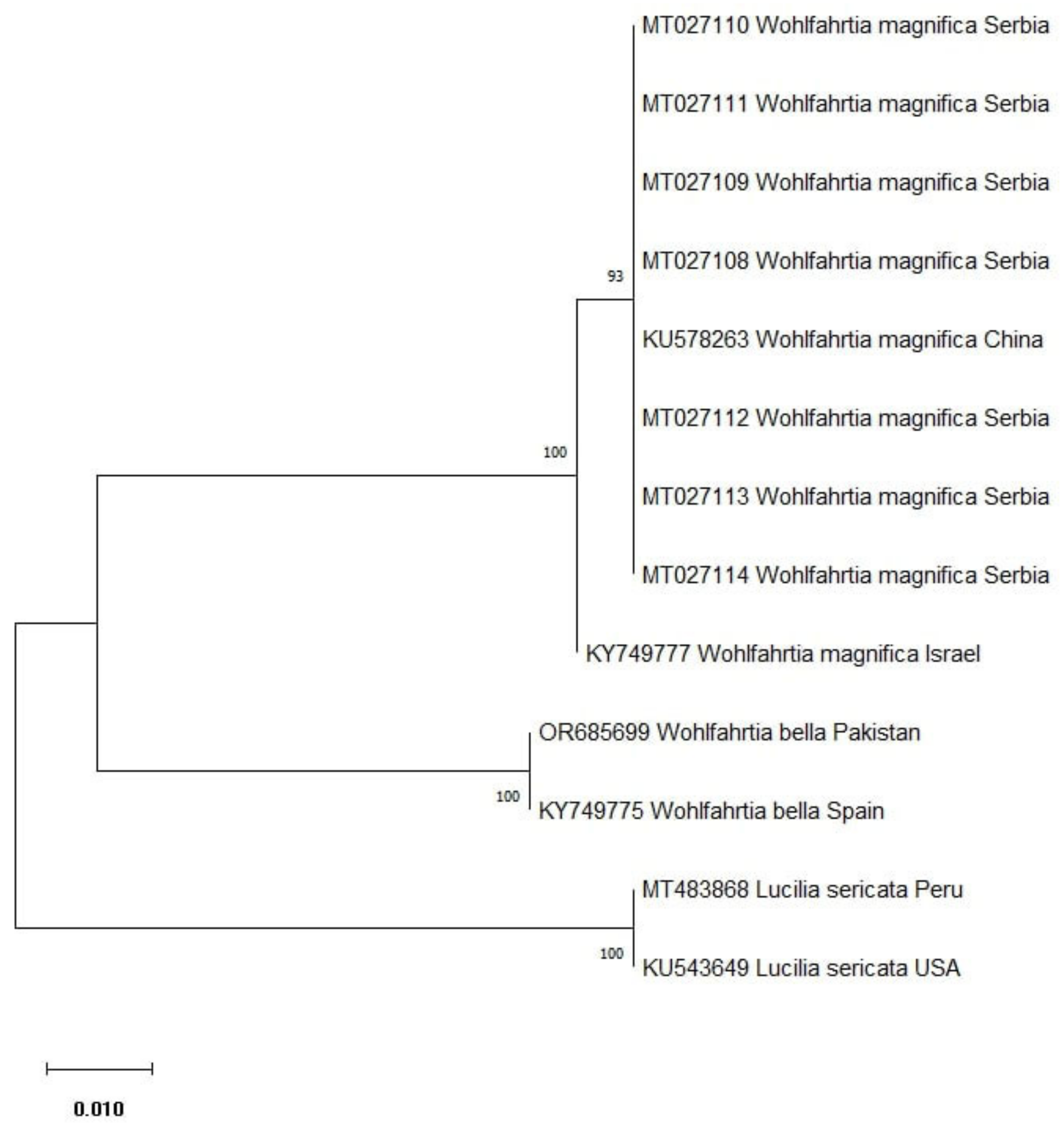 Microorganisms 12 00233 g003 Microorganisms 12 00233 g003