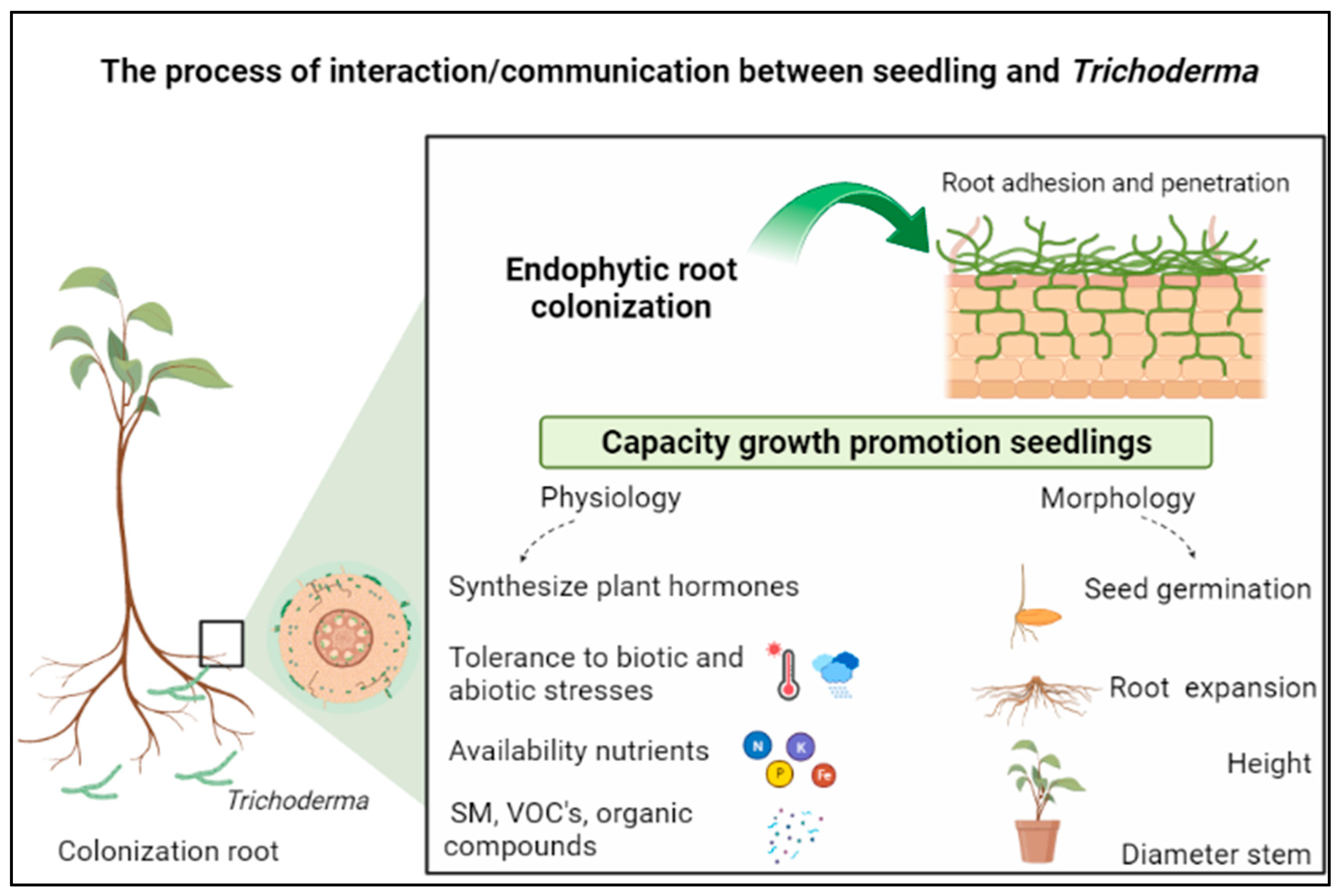 Microorganisms 12 00237 g001 Microorganisms 12 00237 g001