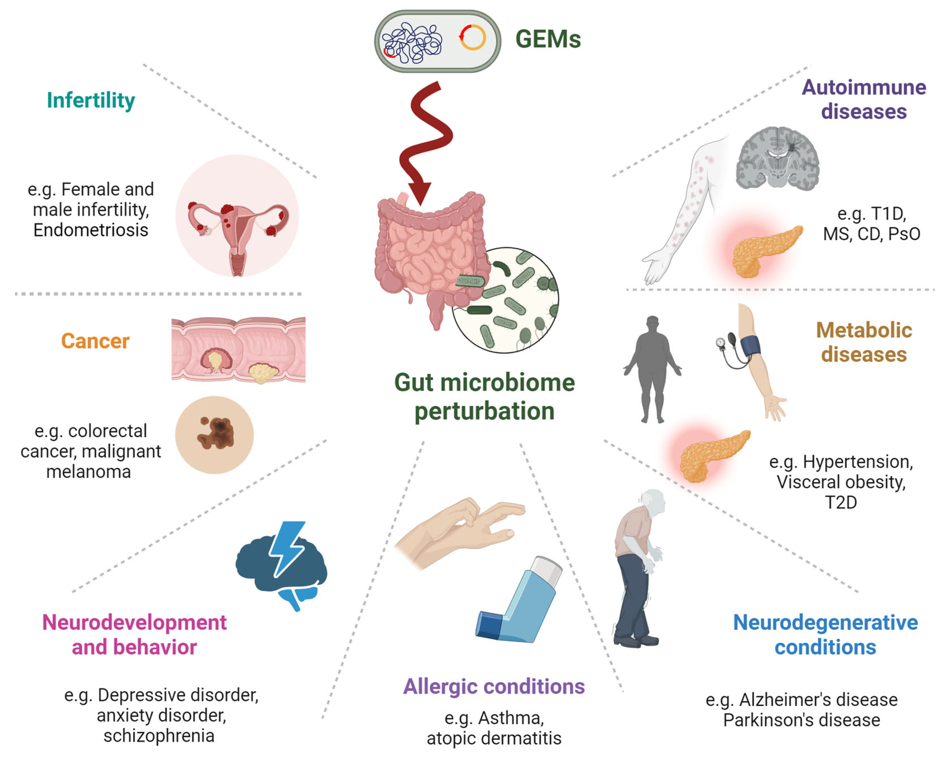 Microorganisms 12 00238 g002