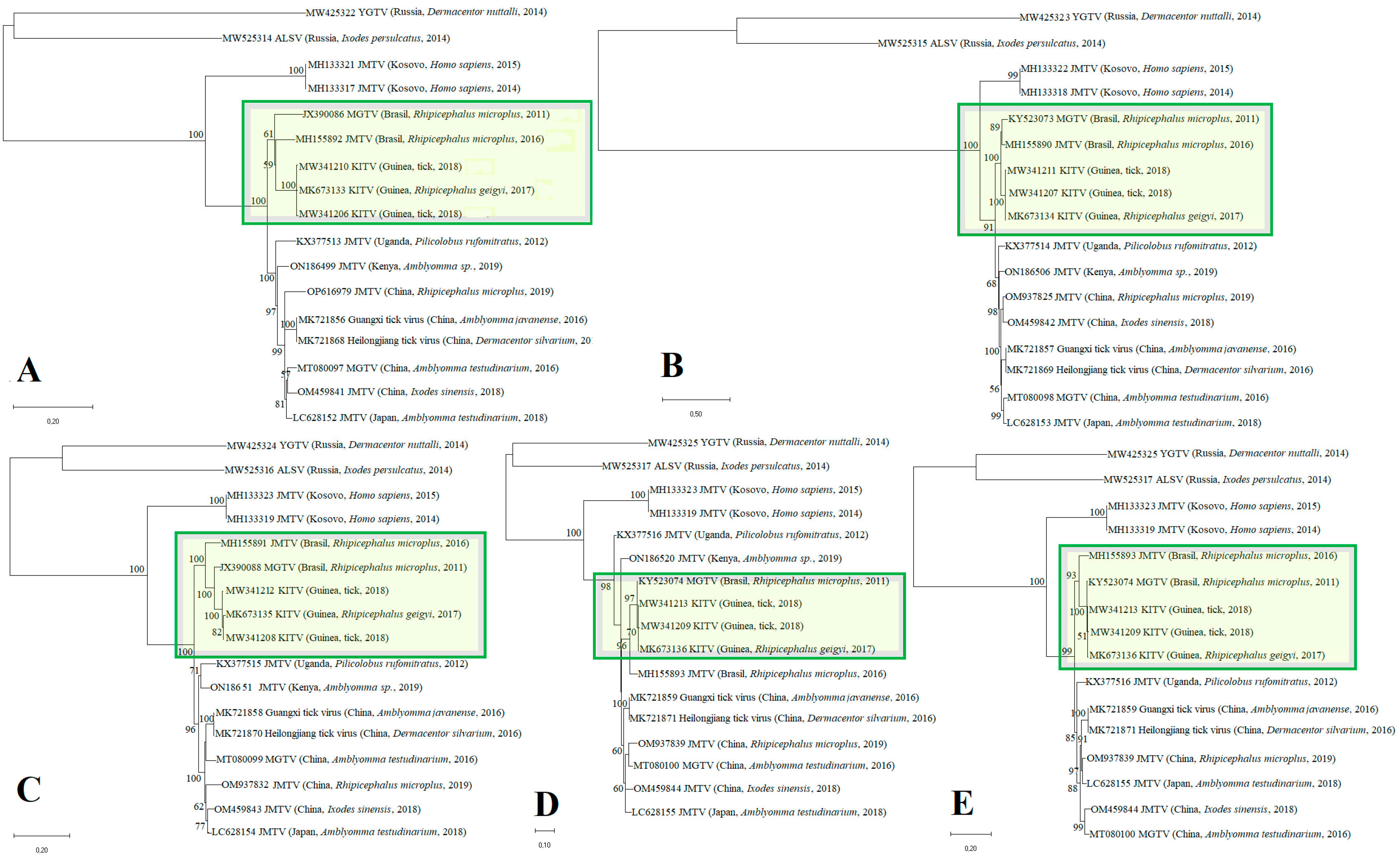 Microorganisms 12 00239 g001 Microorganisms 12 00239 g001