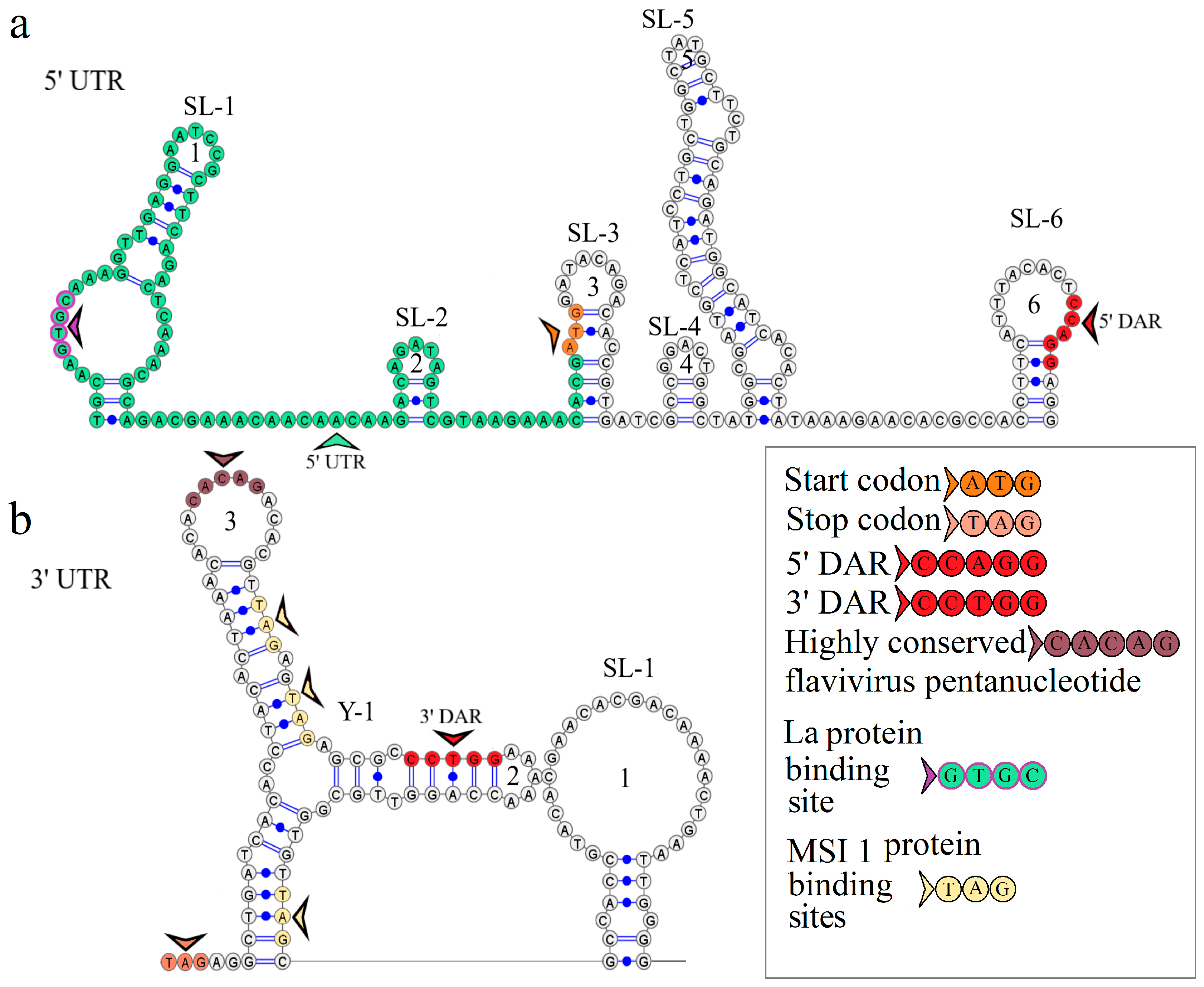 Microorganisms 12 00239 g002 Microorganisms 12 00239 g002