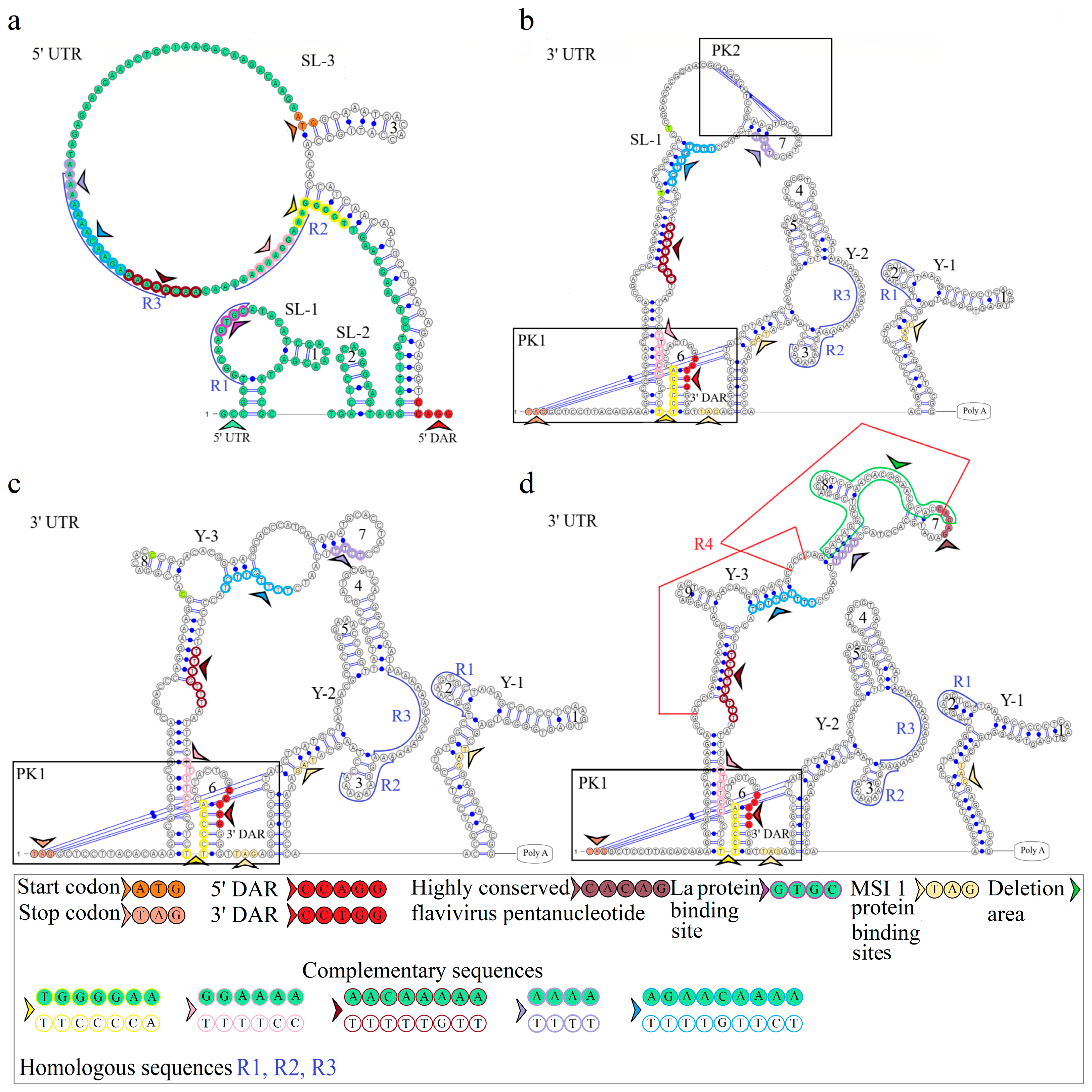 Microorganisms 12 00239 g003 Microorganisms 12 00239 g003