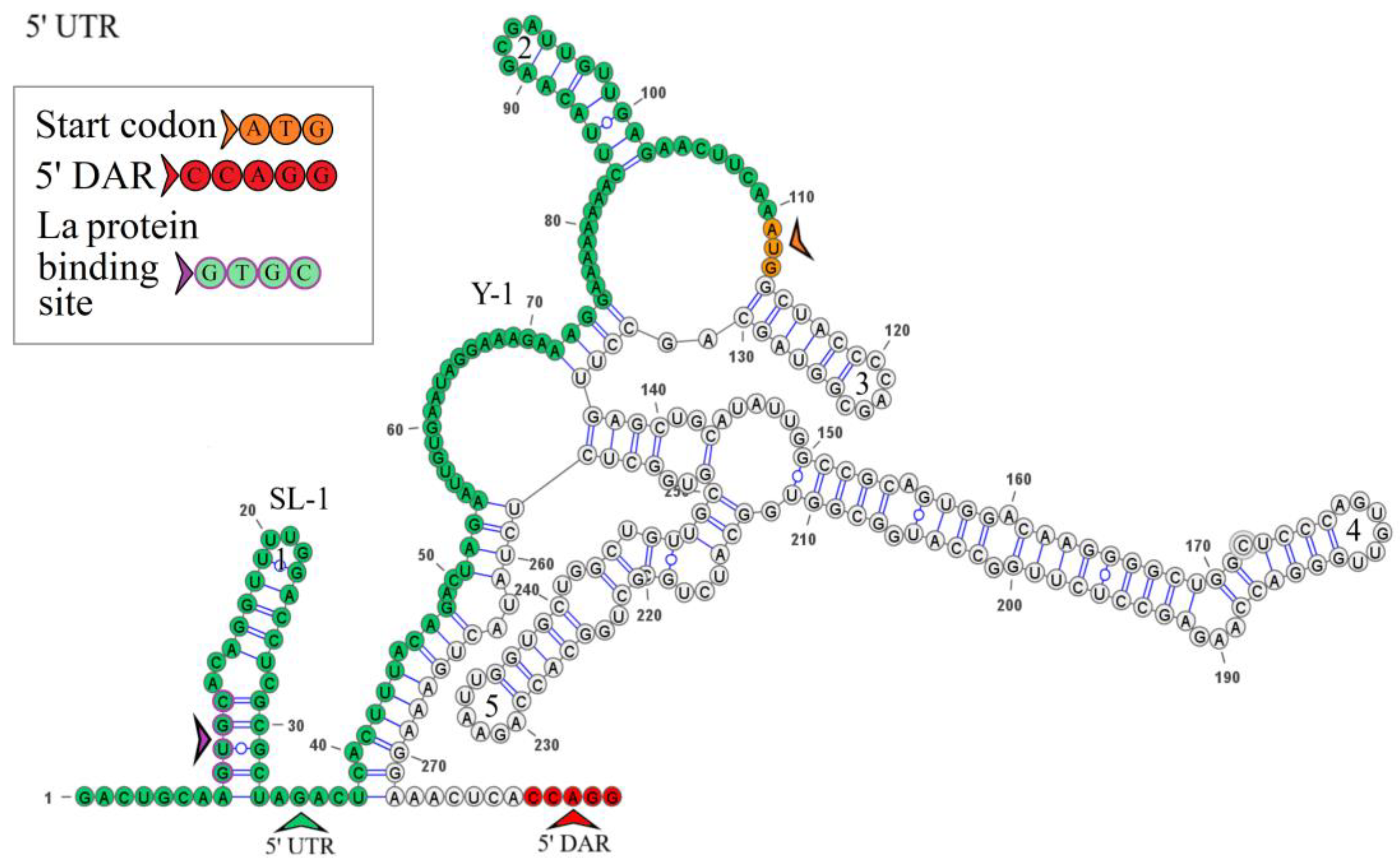 Microorganisms 12 00239 g004 Microorganisms 12 00239 g004