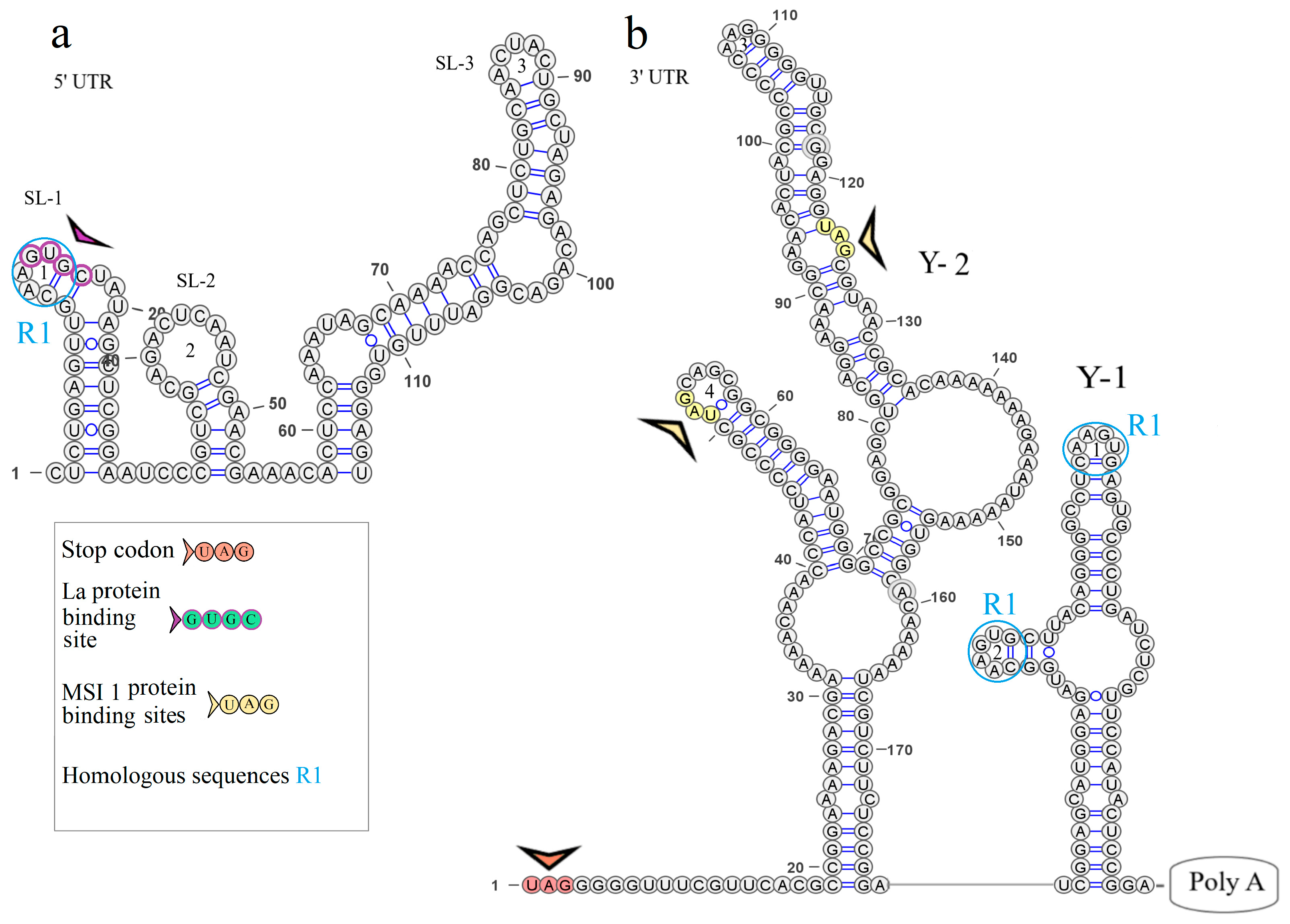 Microorganisms 12 00239 g005 Microorganisms 12 00239 g005