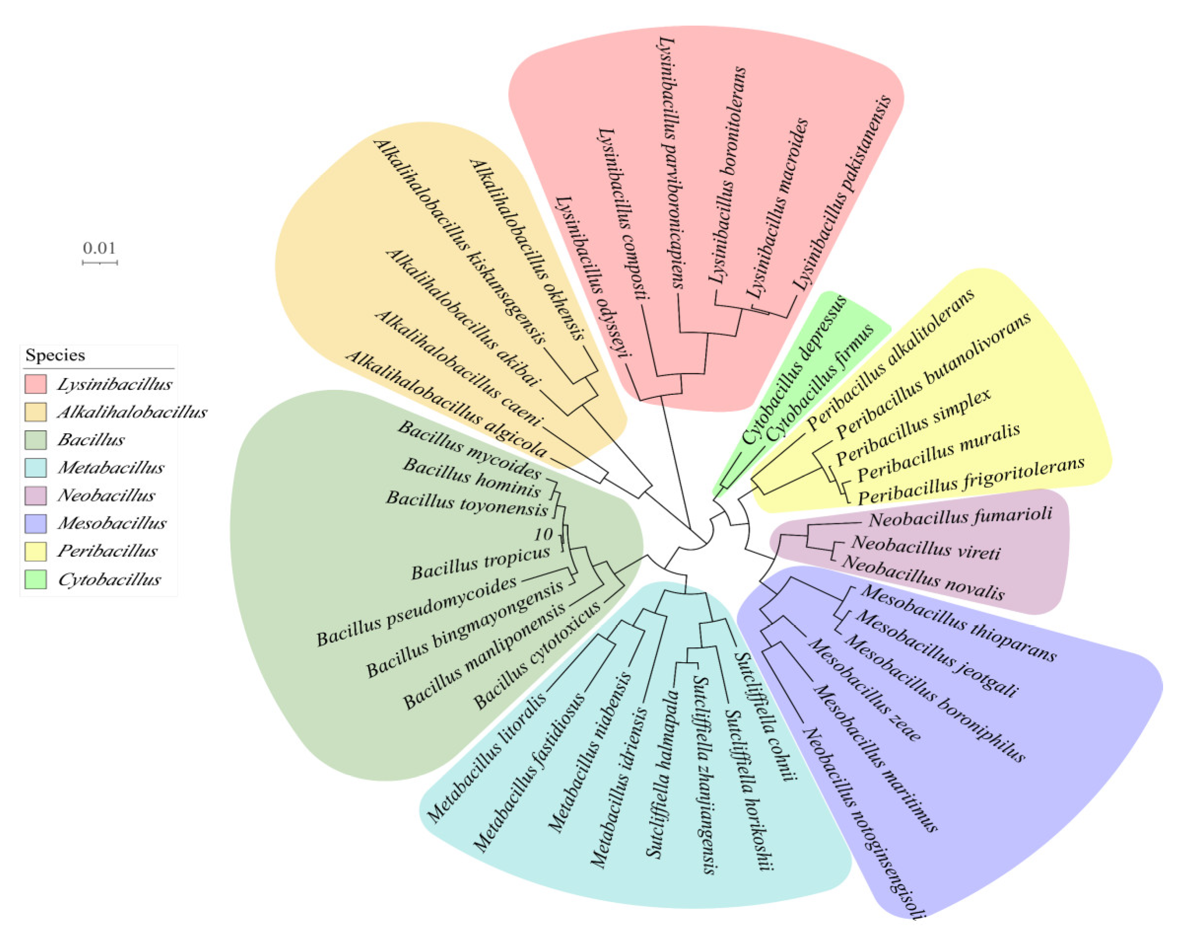Microorganisms 12 00240 g003 Microorganisms 12 00240 g003