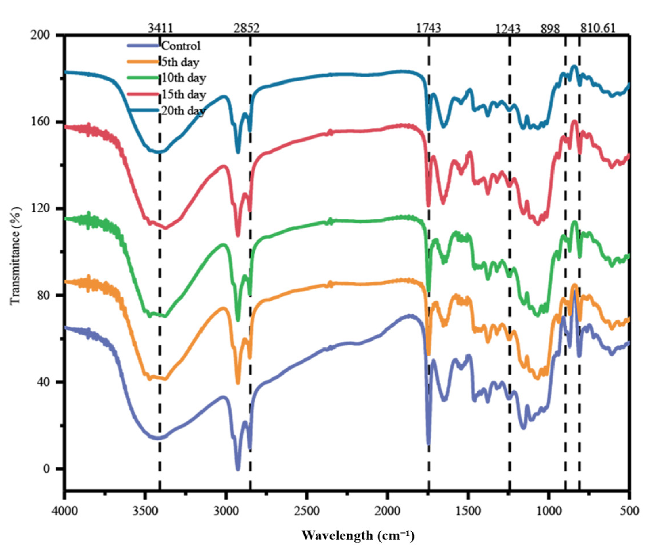 Microorganisms 12 00240 g005 Microorganisms 12 00240 g005