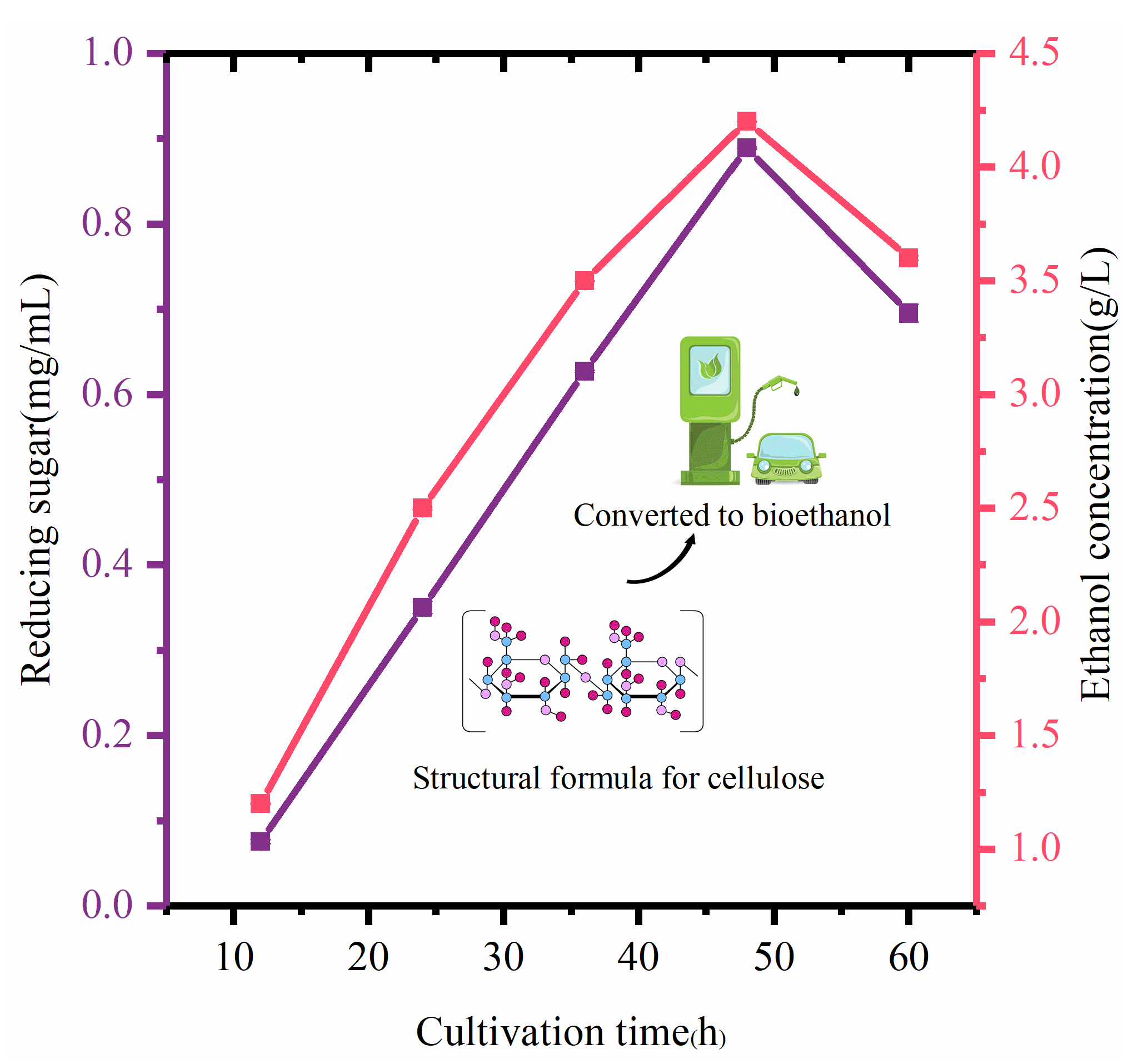 Microorganisms 12 00240 g008 Microorganisms 12 00240 g008