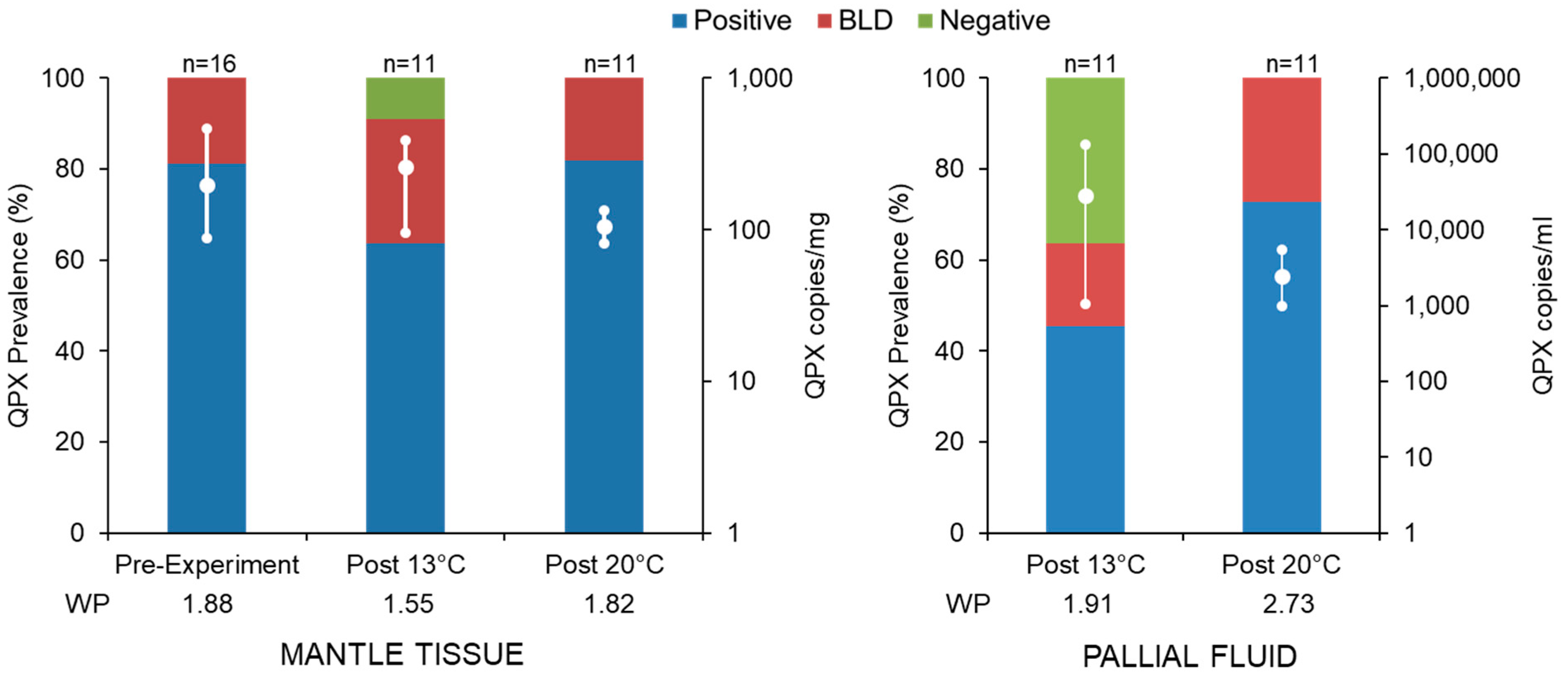 Microorganisms 12 00241 g001