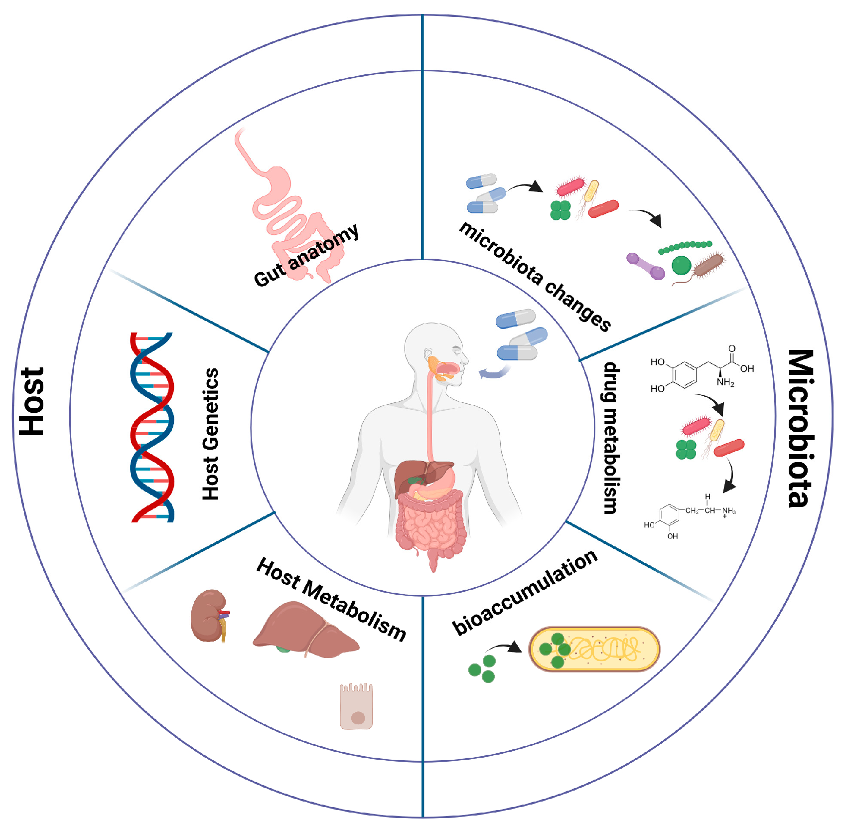 Microorganisms 12 00242 g001