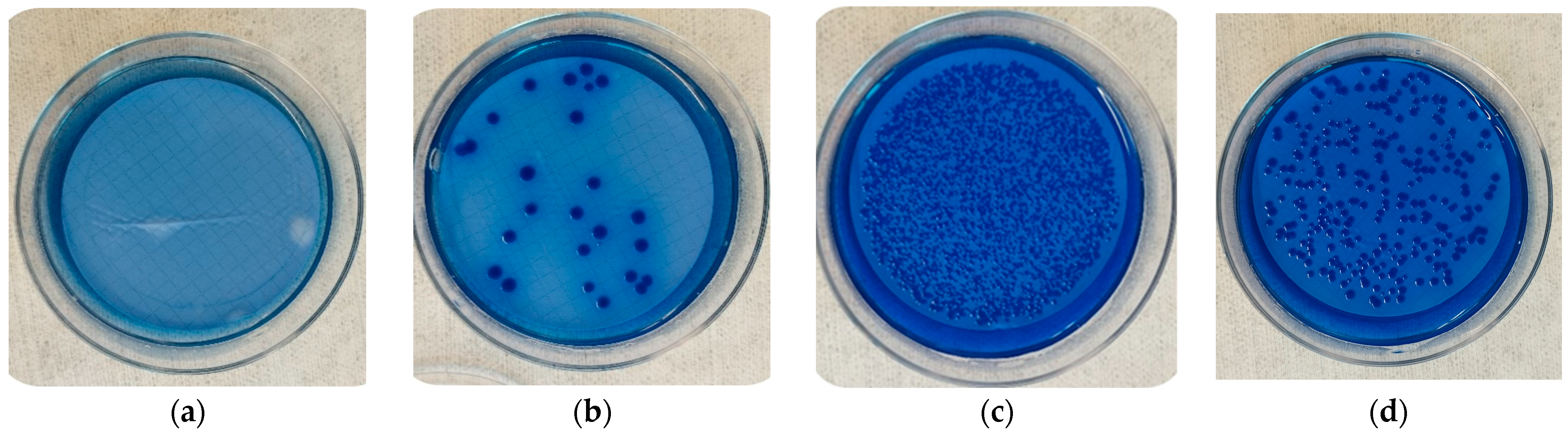 Microorganisms 12 00243 g002