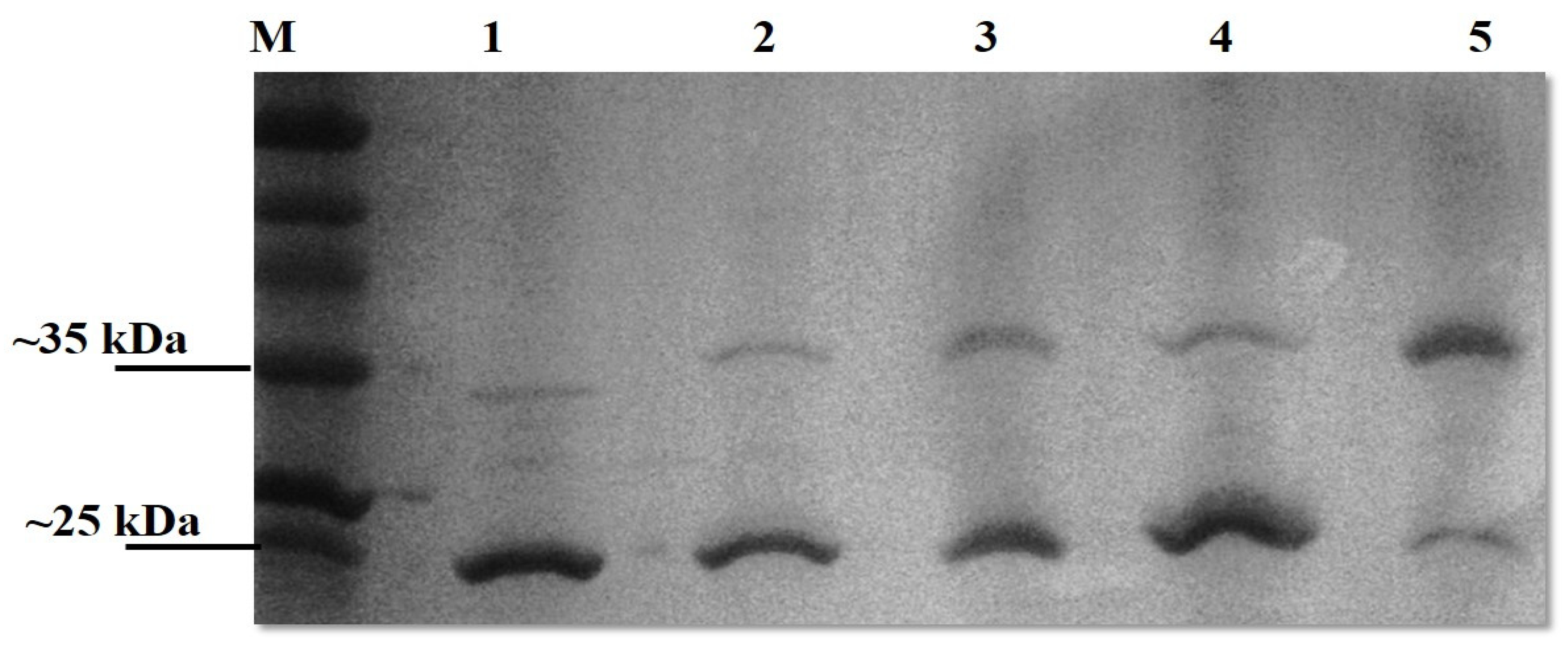 Microorganisms 12 00245 g003 Microorganisms 12 00245 g003