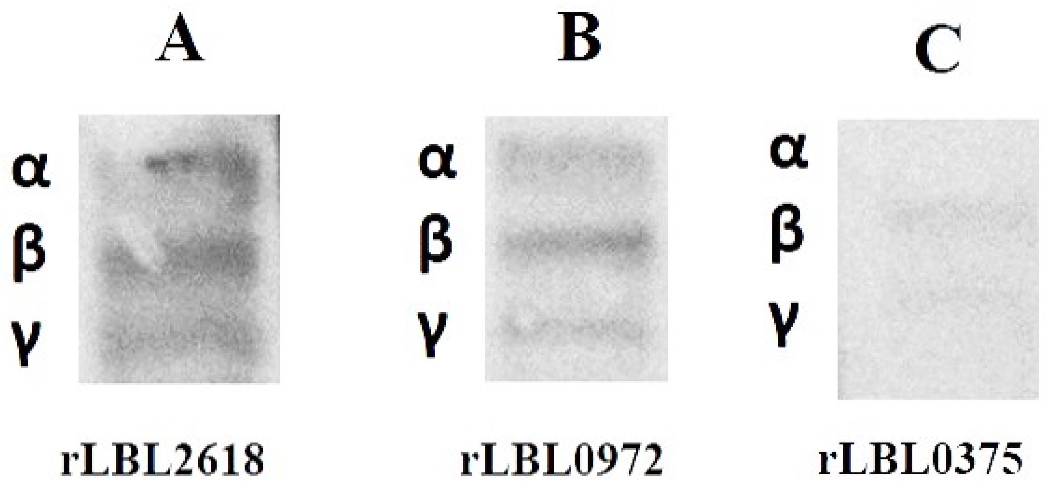 Microorganisms 12 00245 g006 Microorganisms 12 00245 g006
