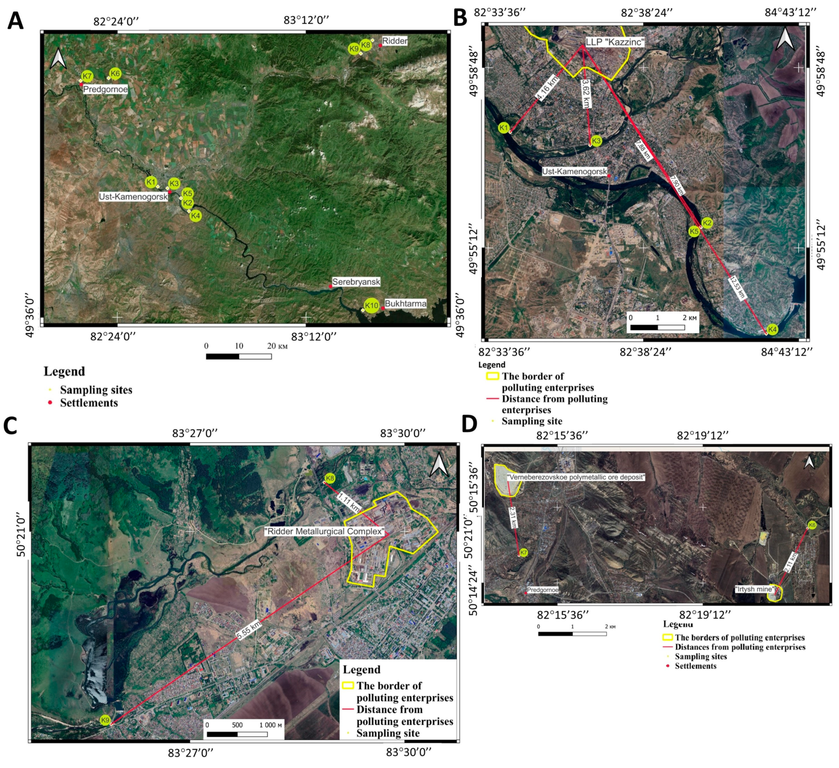 Microorganisms 12 00246 g001