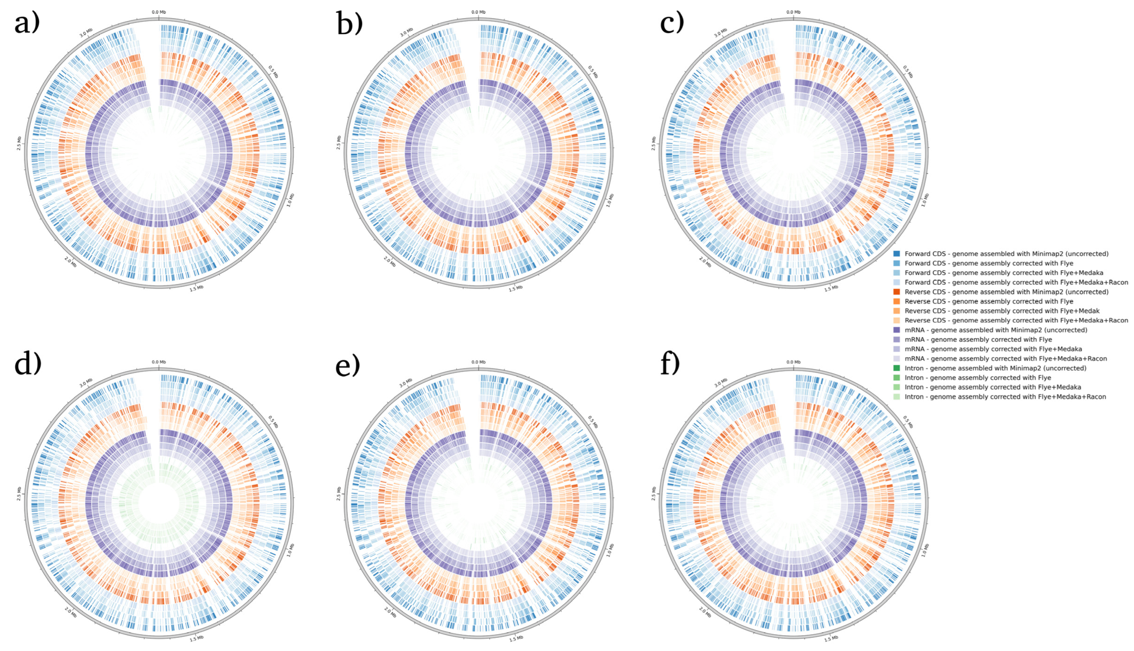 Microorganisms 12 00247 g002 Microorganisms 12 00247 g002