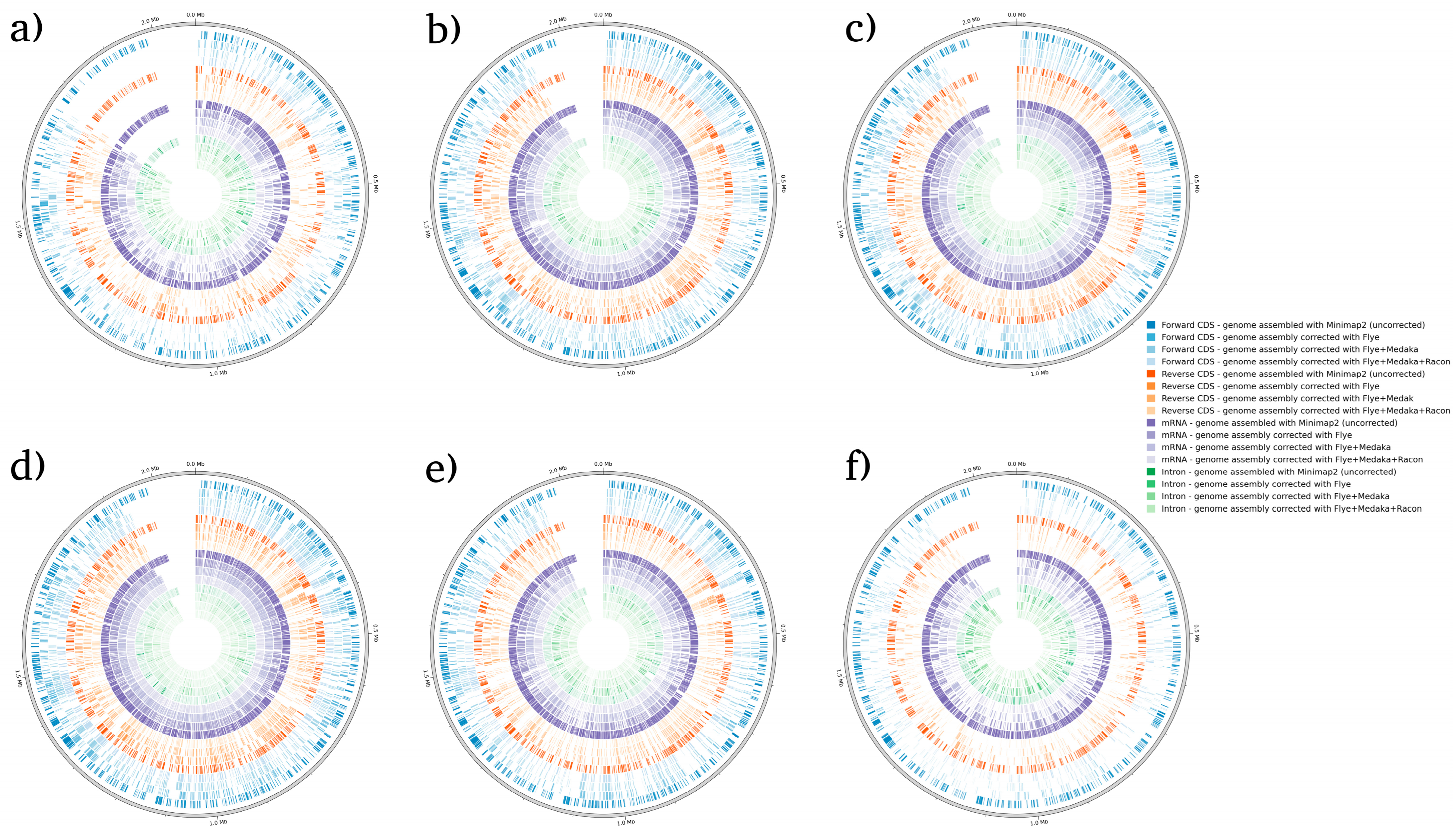 Microorganisms 12 00247 g003 Microorganisms 12 00247 g003