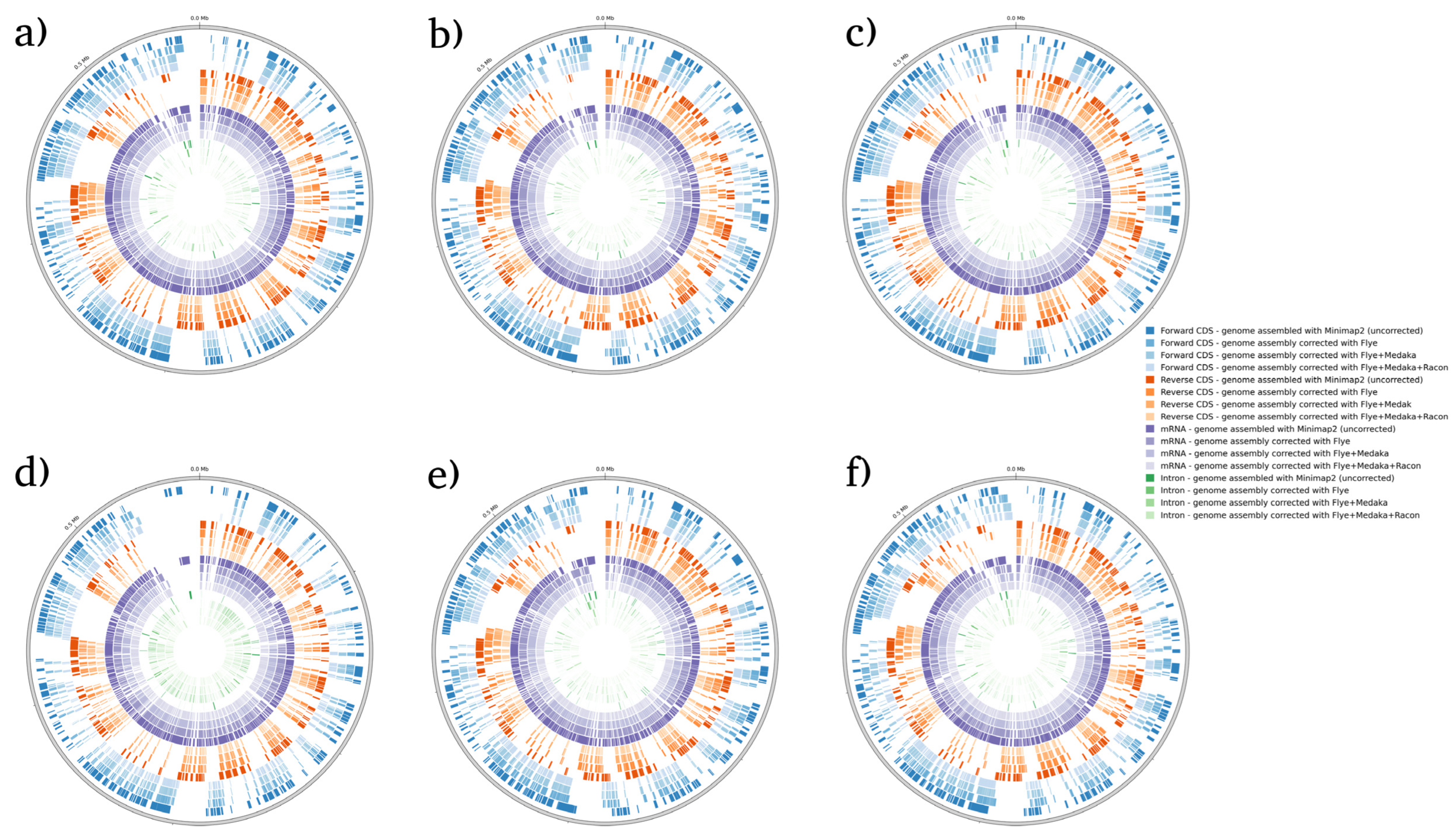 Microorganisms 12 00247 g004 Microorganisms 12 00247 g004