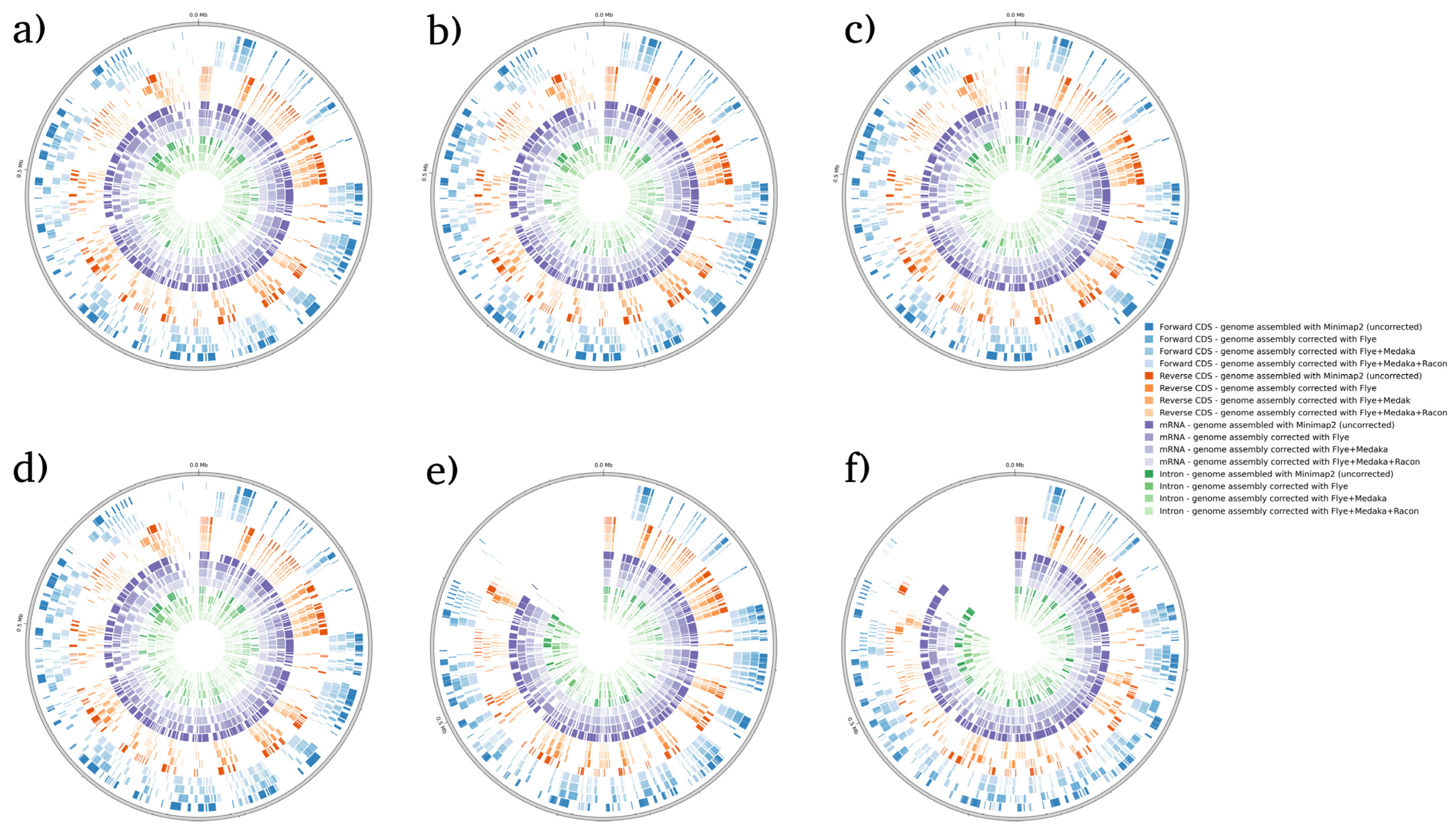 Microorganisms 12 00247 g005 Microorganisms 12 00247 g005