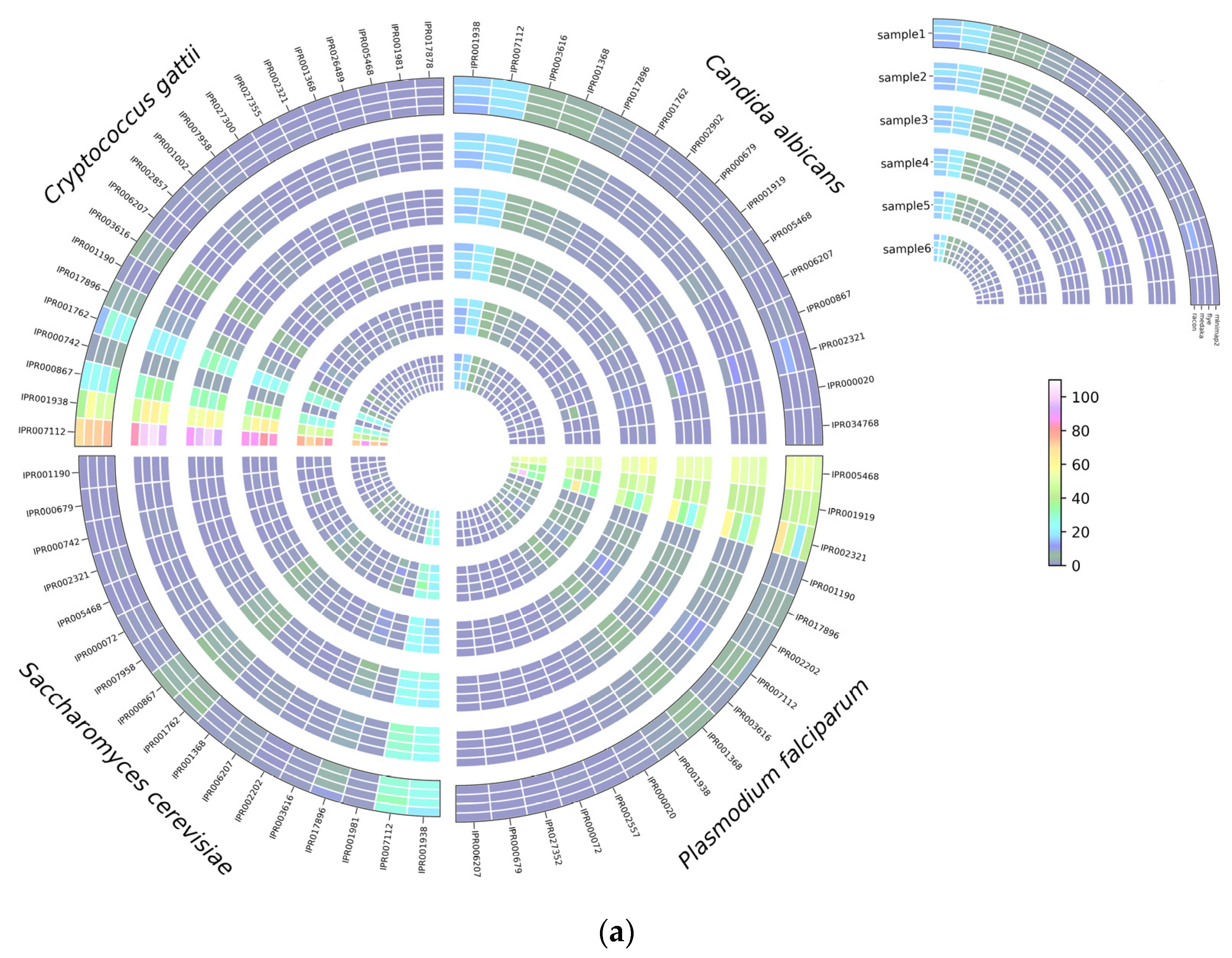 Microorganisms 12 00247 g007a Microorganisms 12 00247 g007a