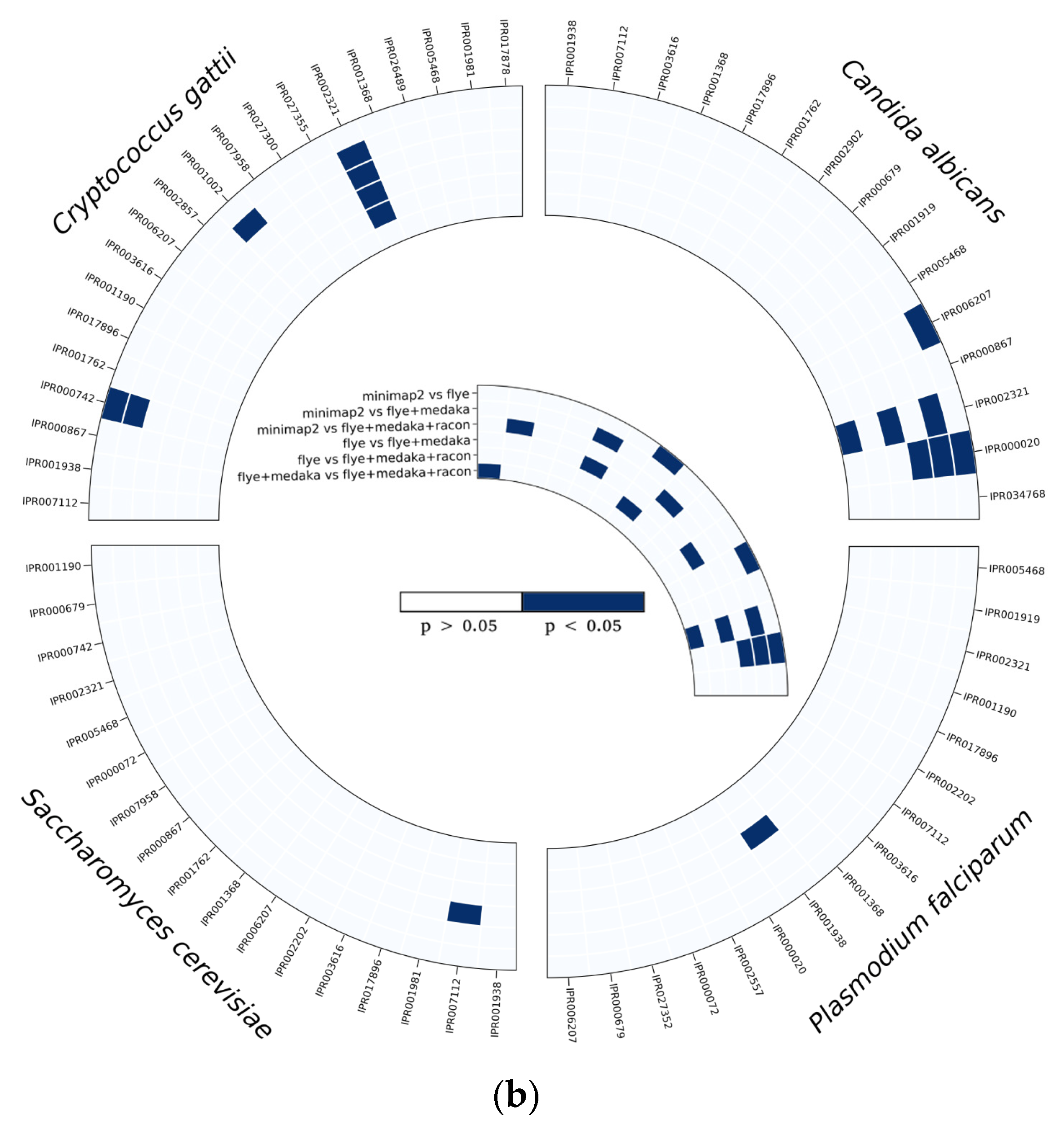 Microorganisms 12 00247 g007b Microorganisms 12 00247 g007b
