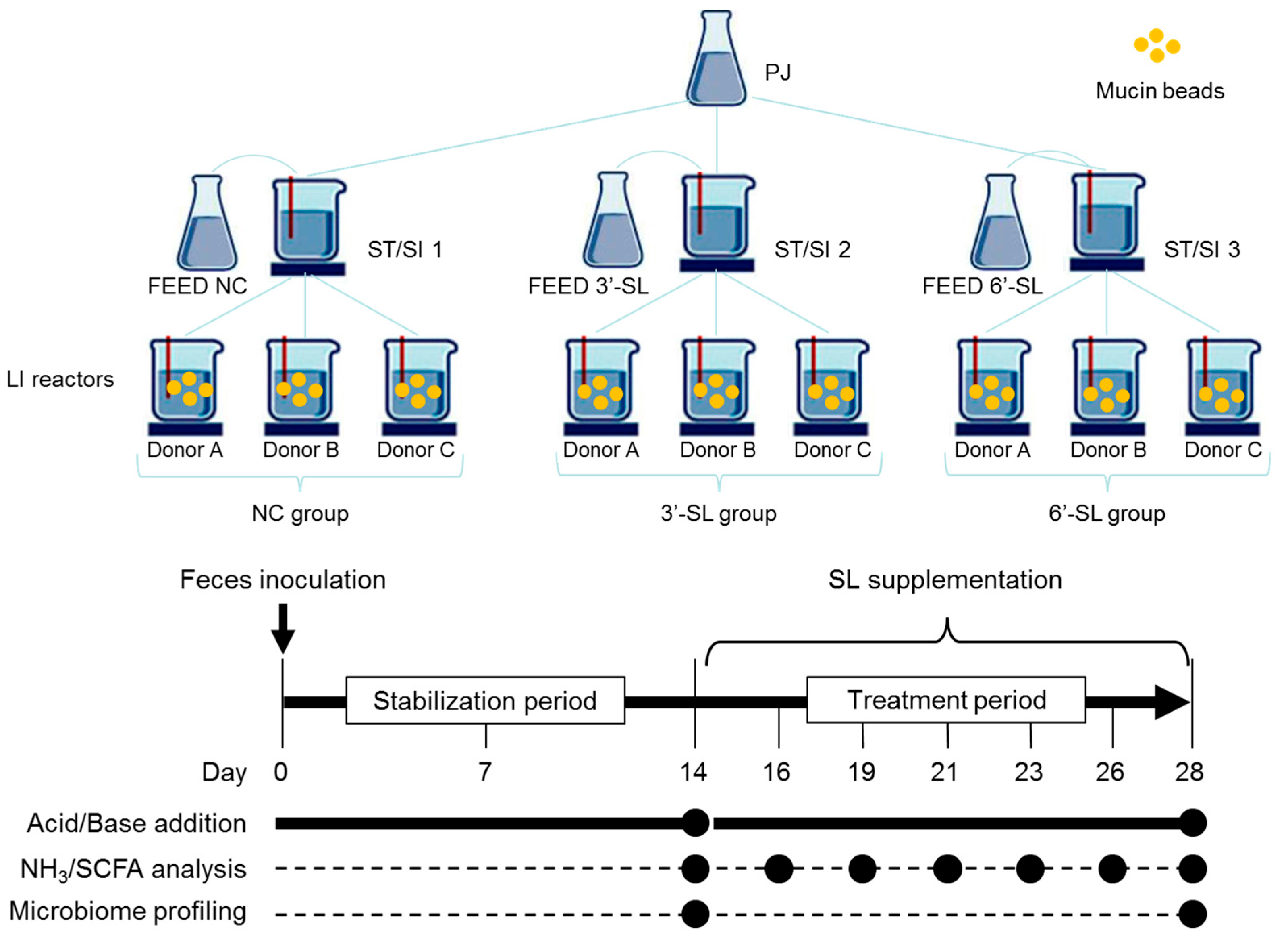 Microorganisms 12 00252 g001