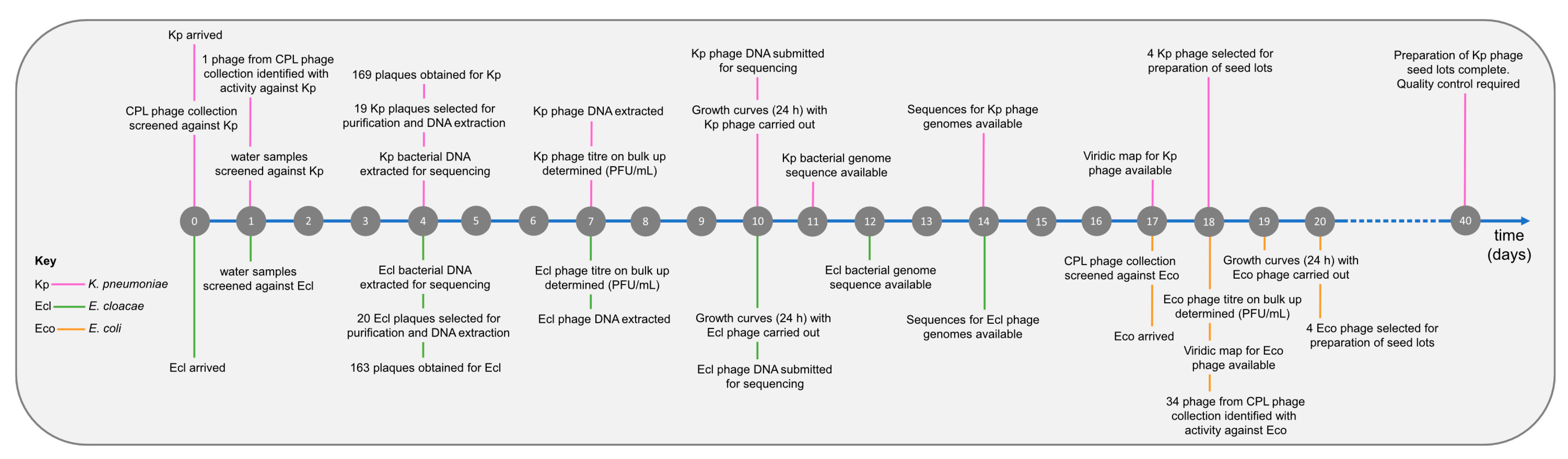 Microorganisms 12 00253 g002