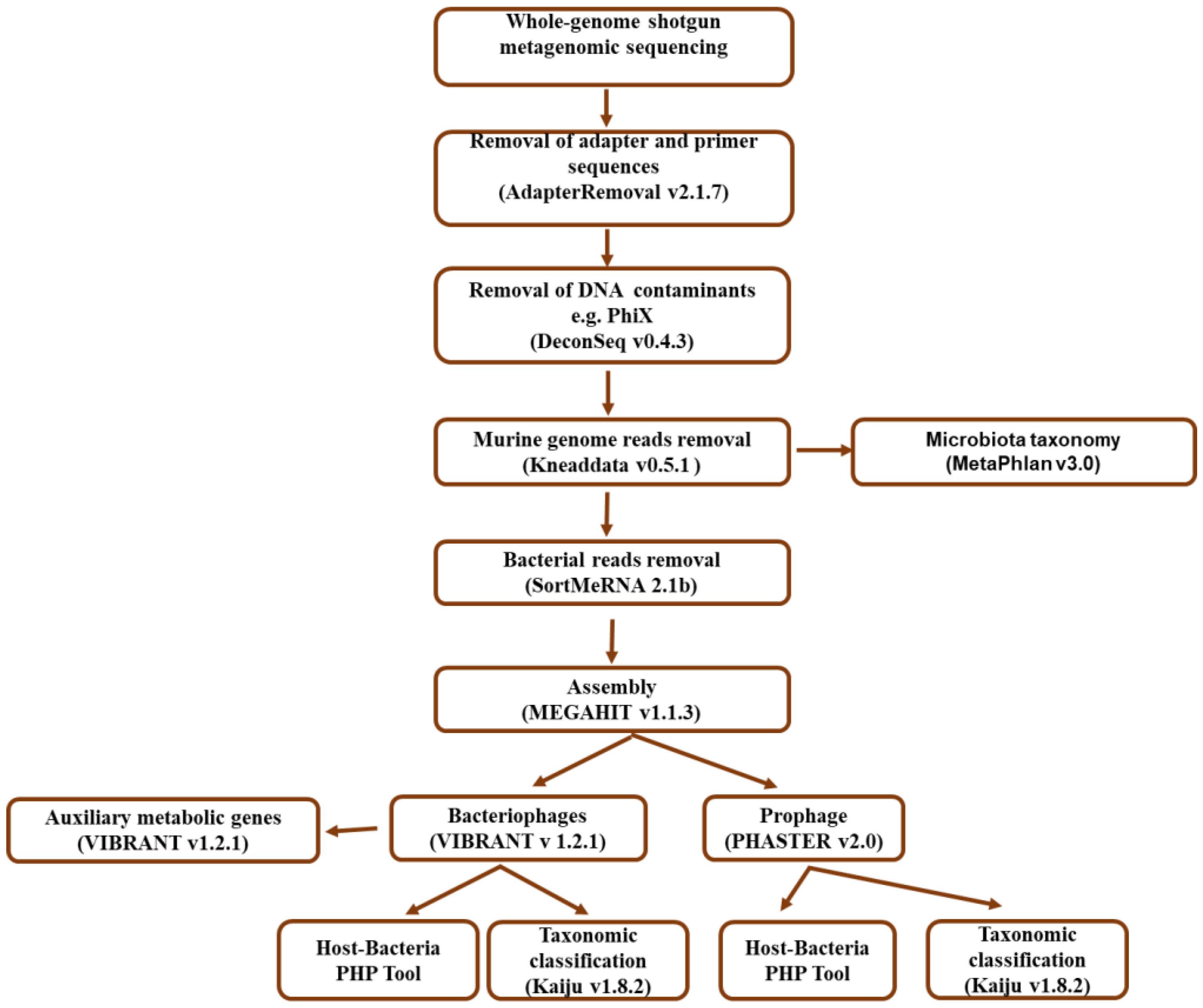 Microorganisms 12 00255 g001
