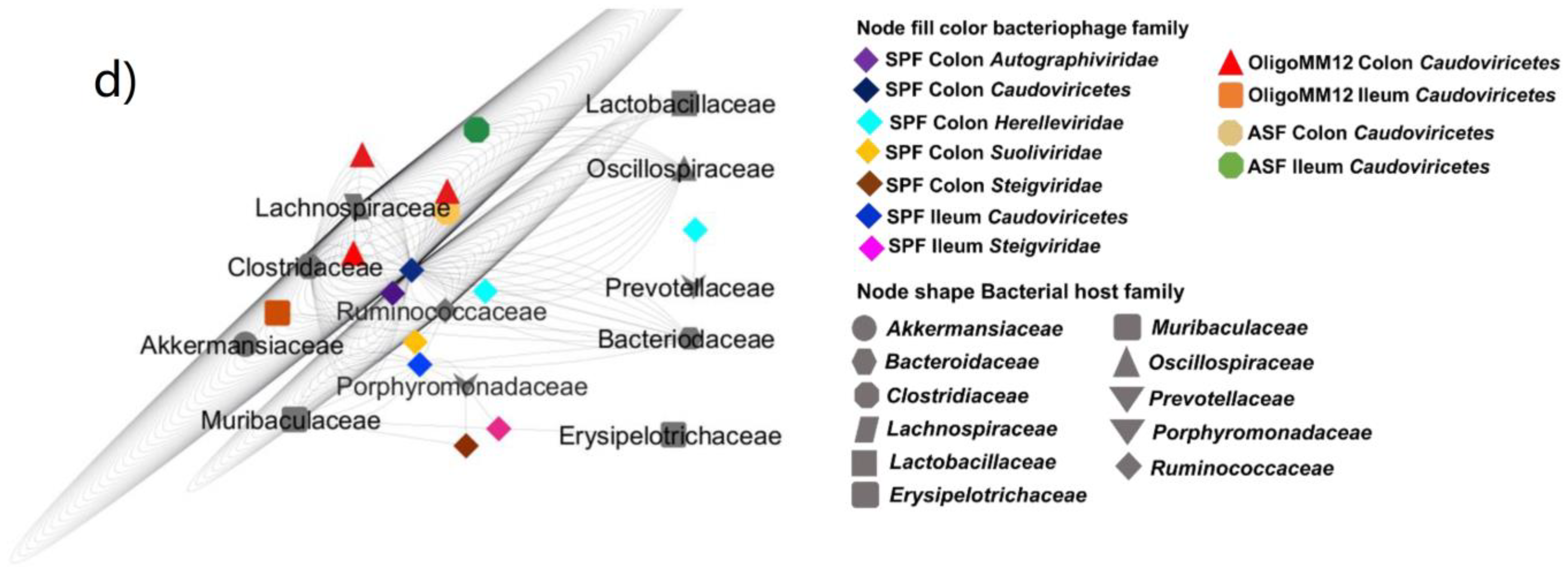 Microorganisms 12 00255 g002b