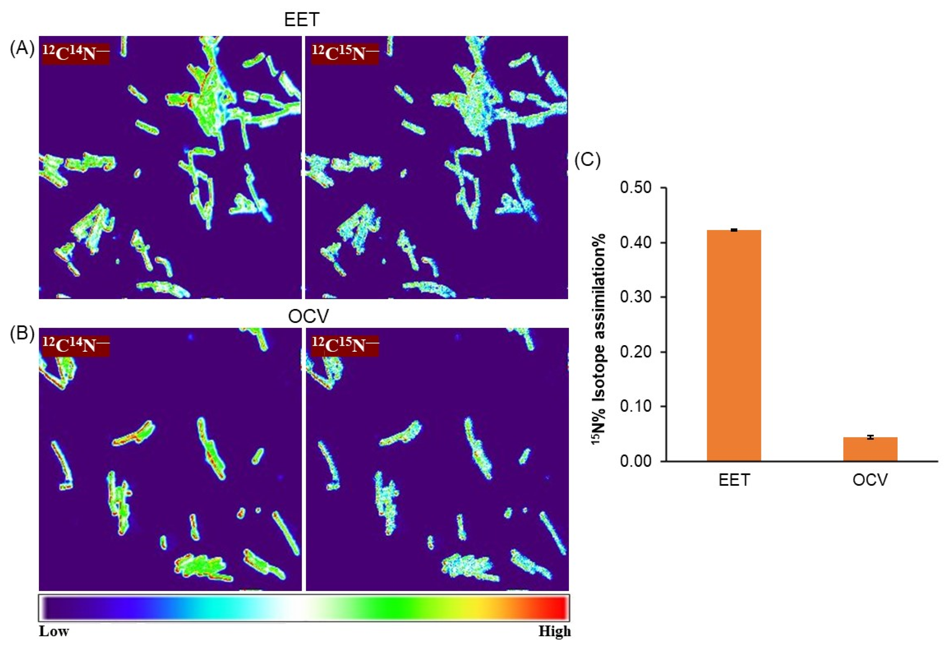 Microorganisms 12 00257 g003
