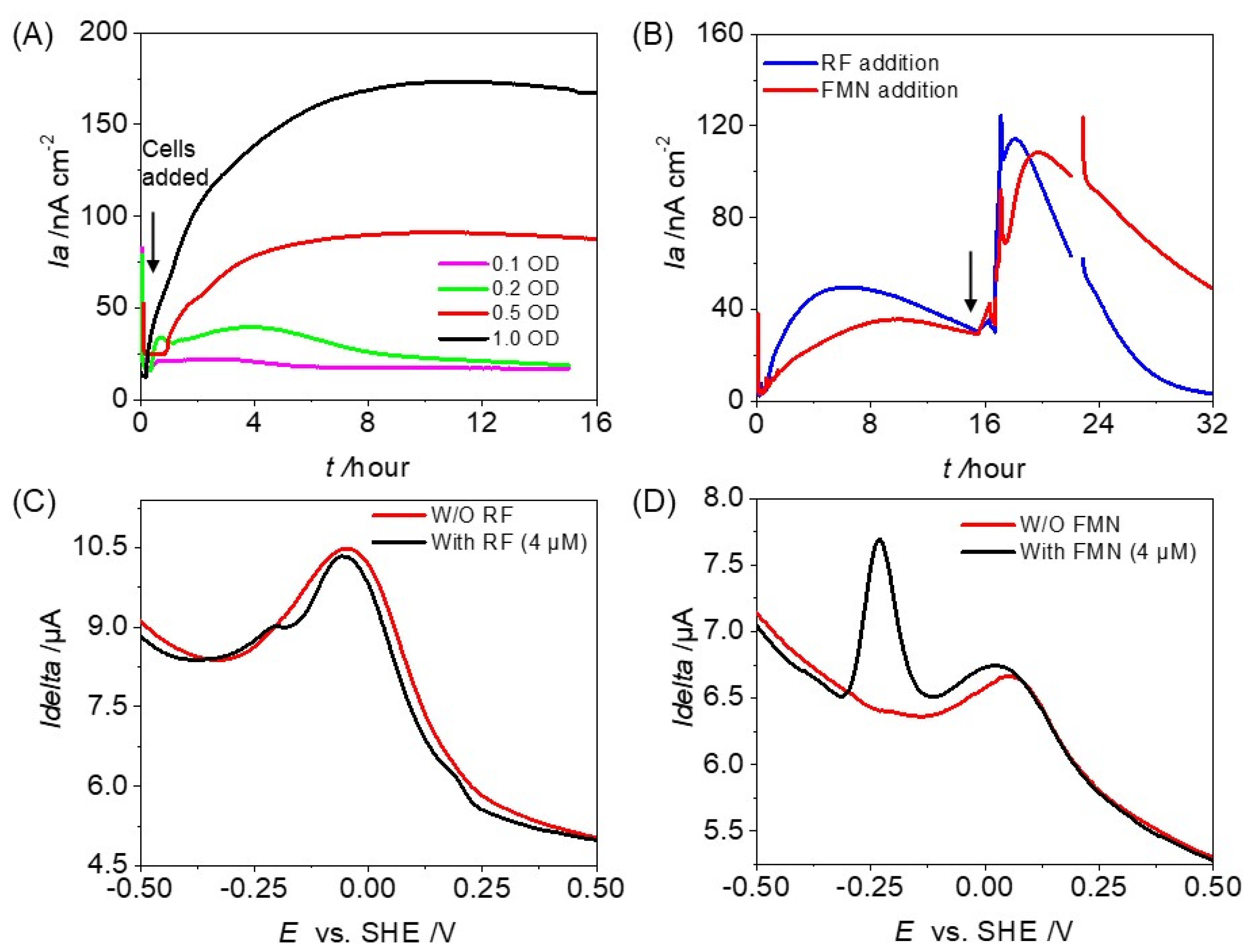 Microorganisms 12 00257 g004