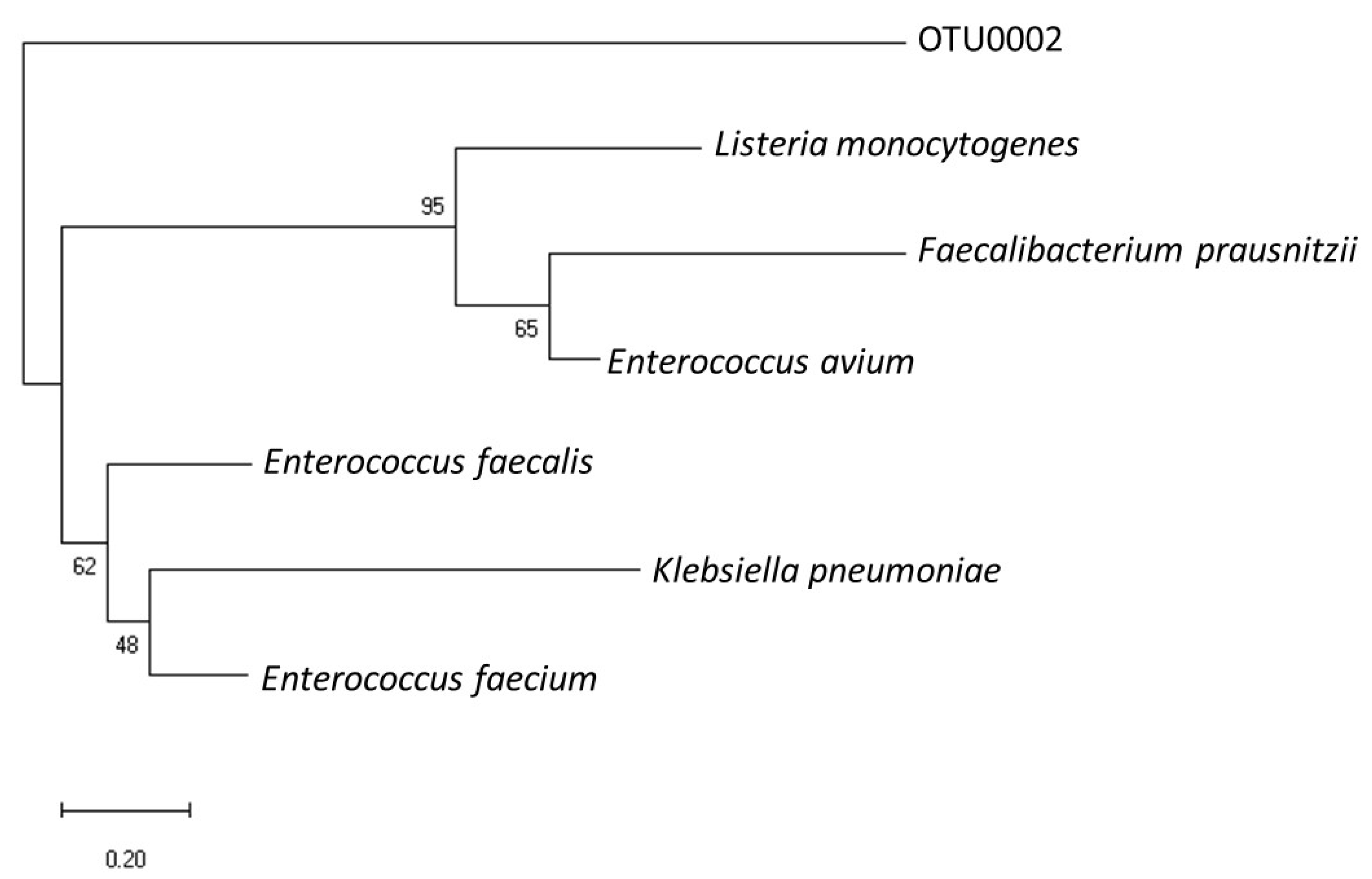 Microorganisms 12 00257 g005