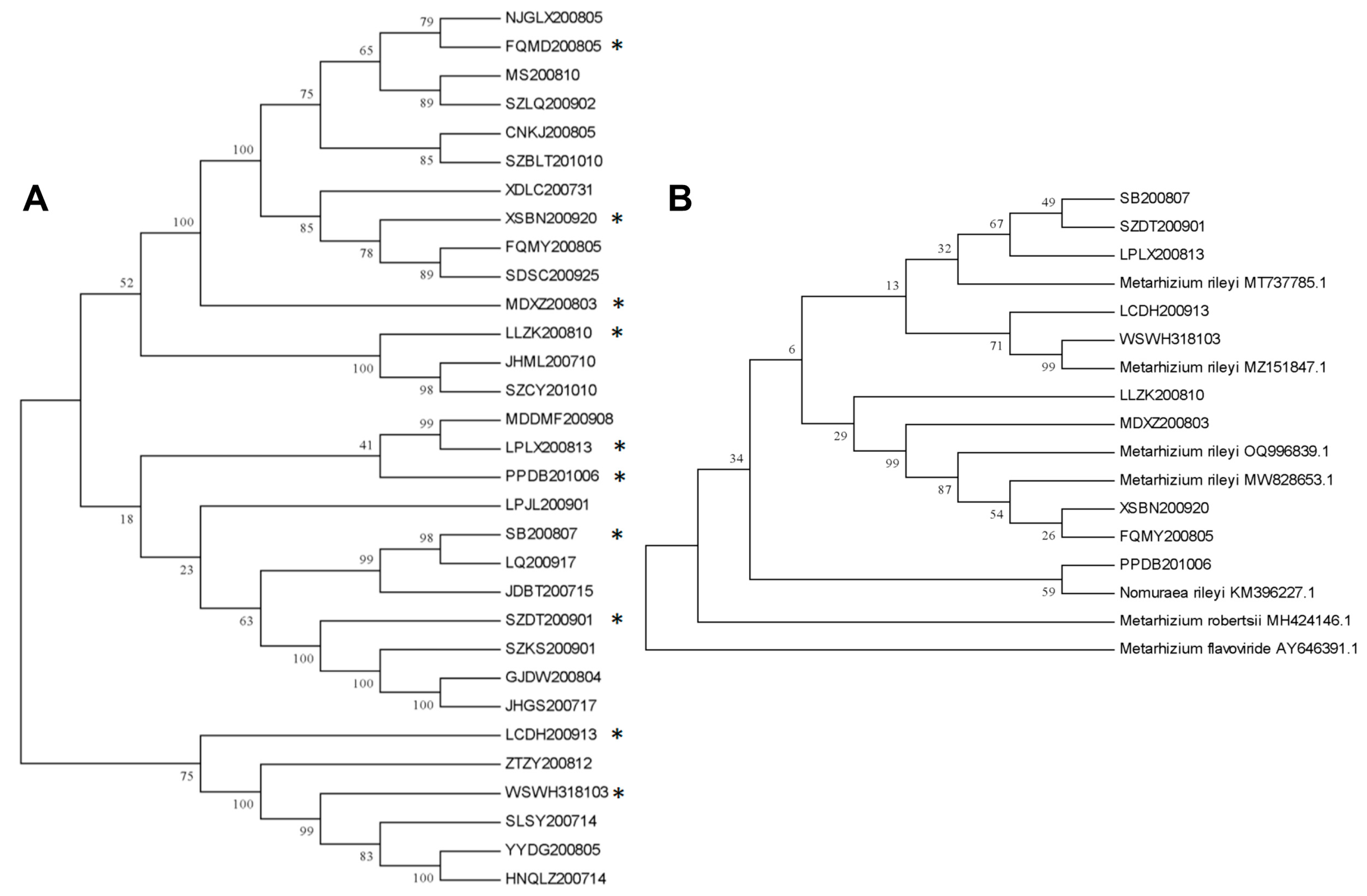 Microorganisms 12 00264 g001