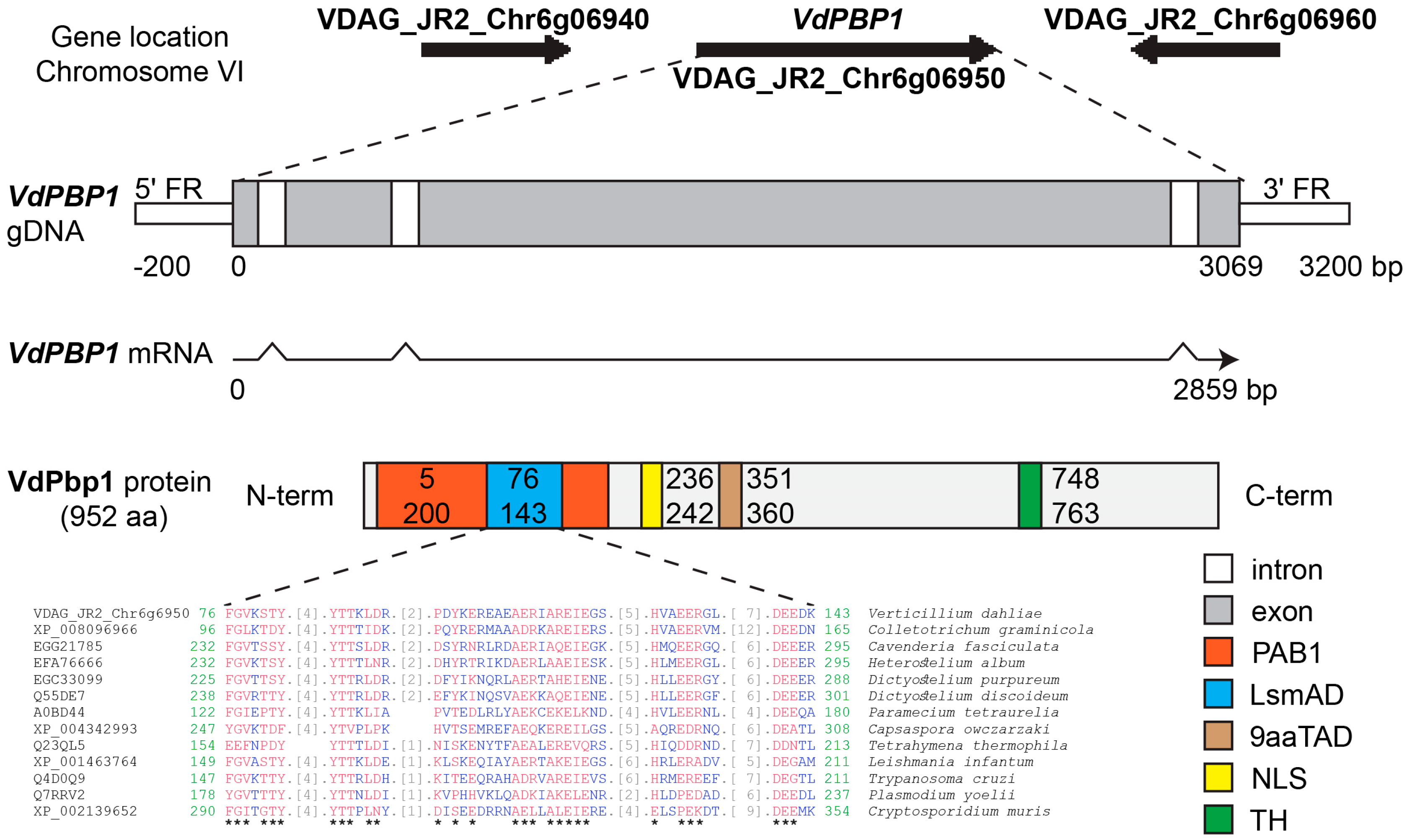 Microorganisms 12 00265 g001 Microorganisms 12 00265 g001