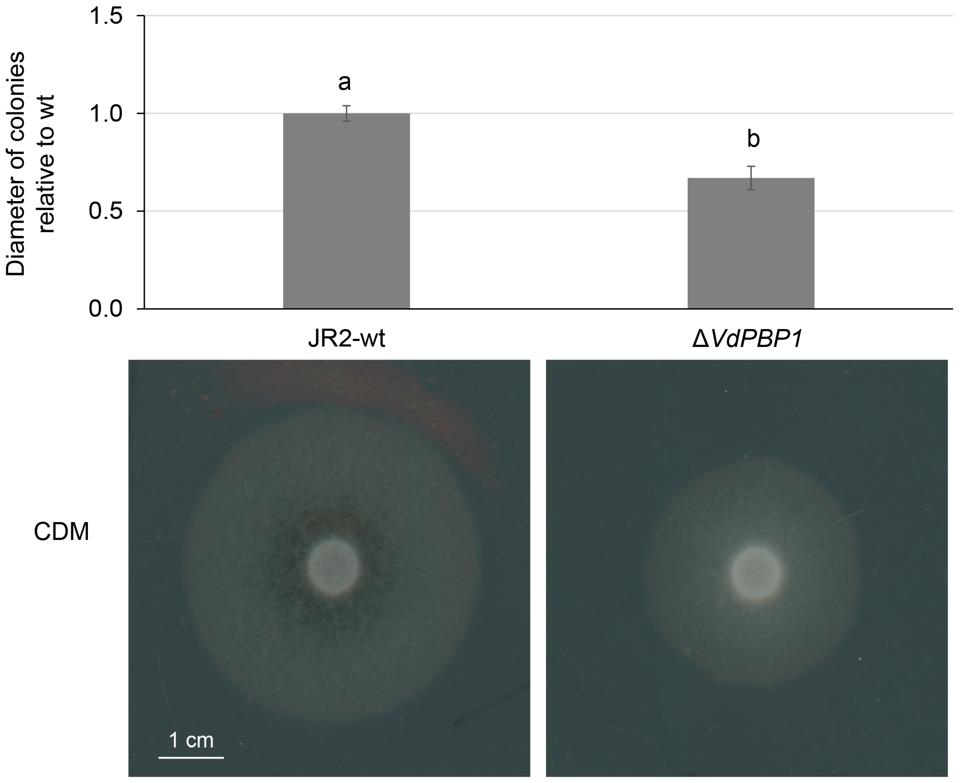 Microorganisms 12 00265 g005 Microorganisms 12 00265 g005