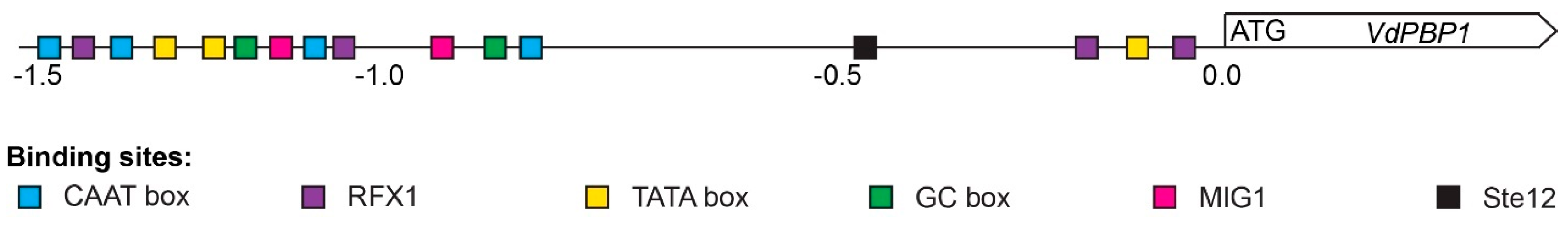 Microorganisms 12 00265 g008 Microorganisms 12 00265 g008