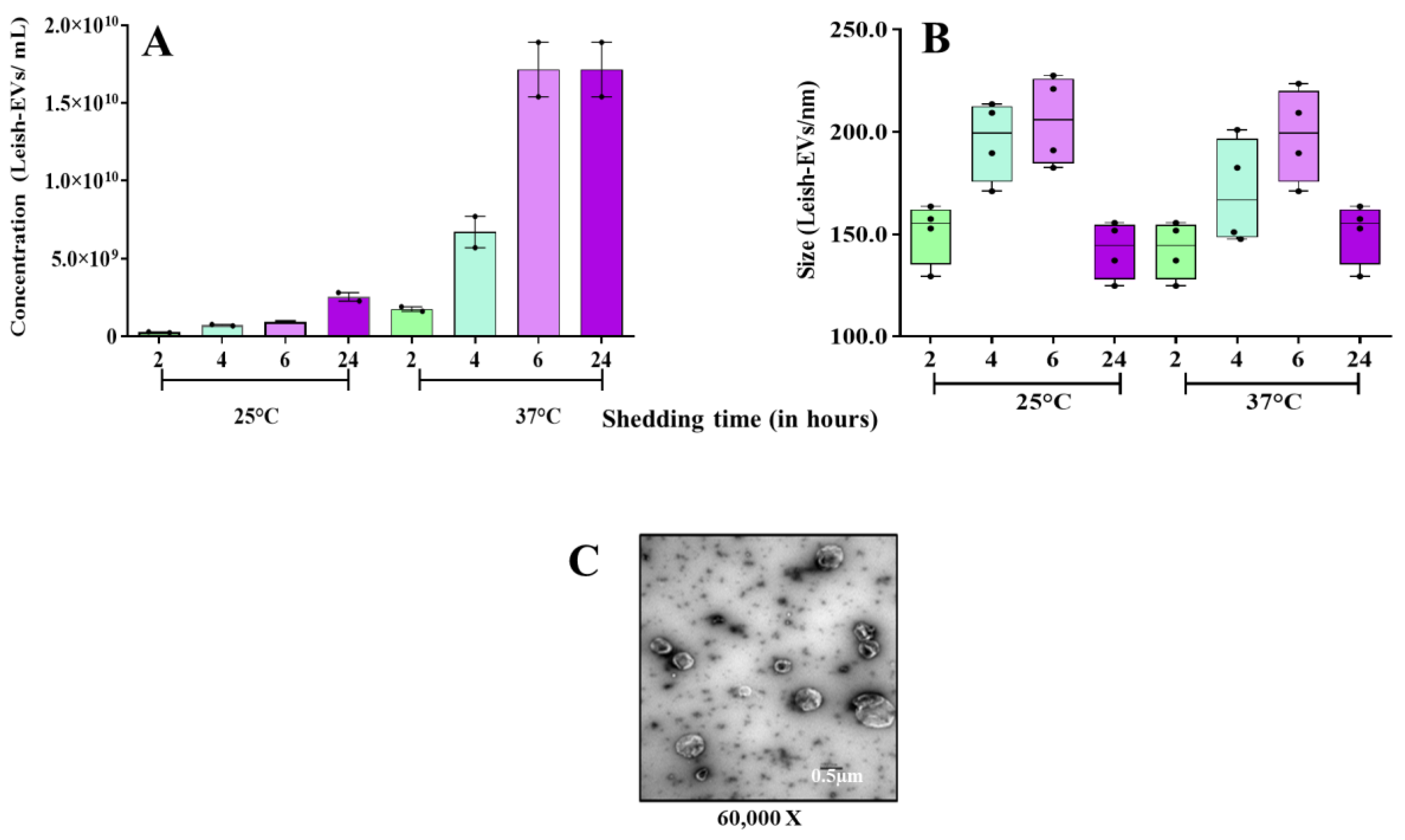 Microorganisms 12 00270 g003