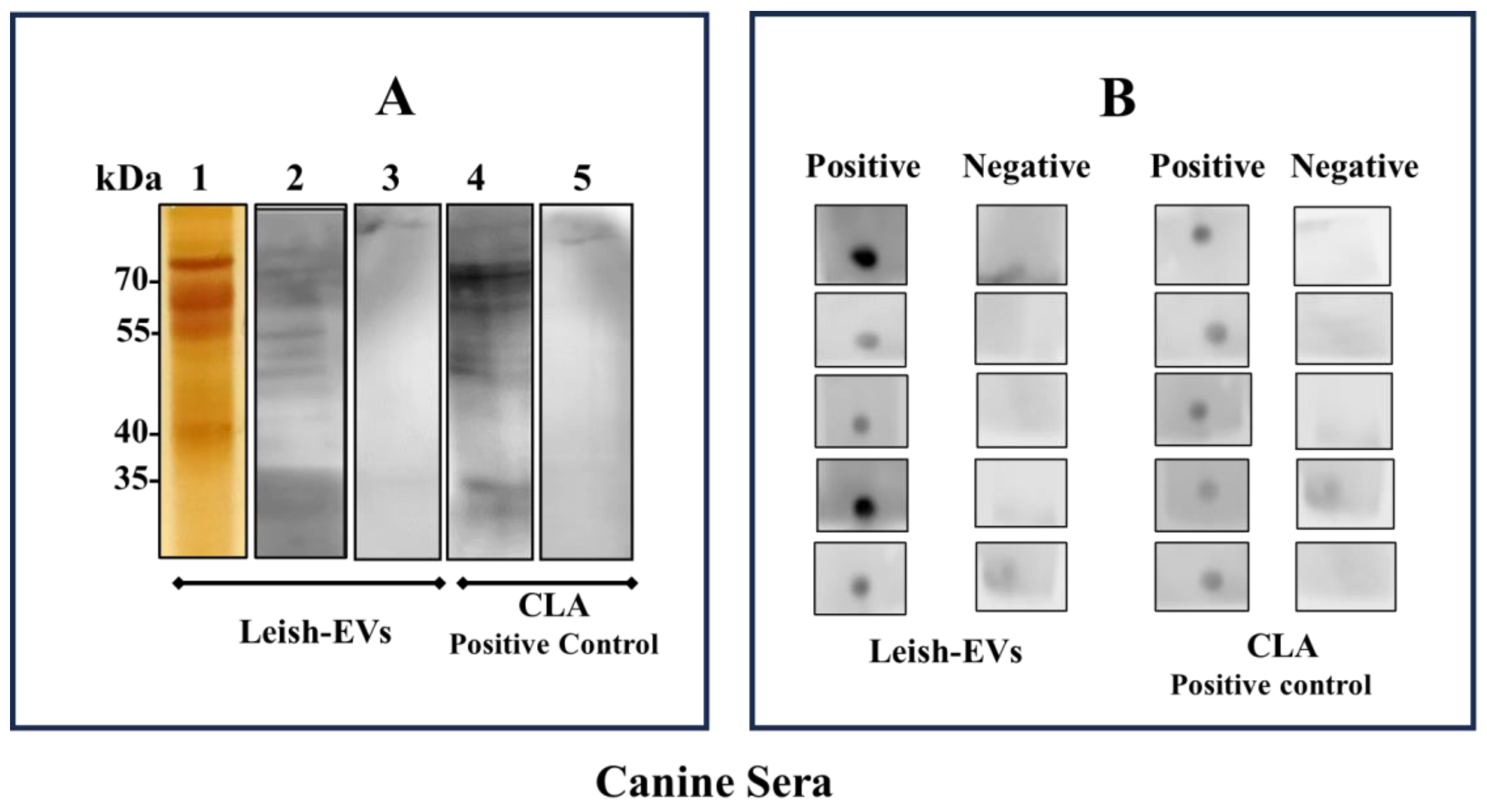 Microorganisms 12 00270 g005