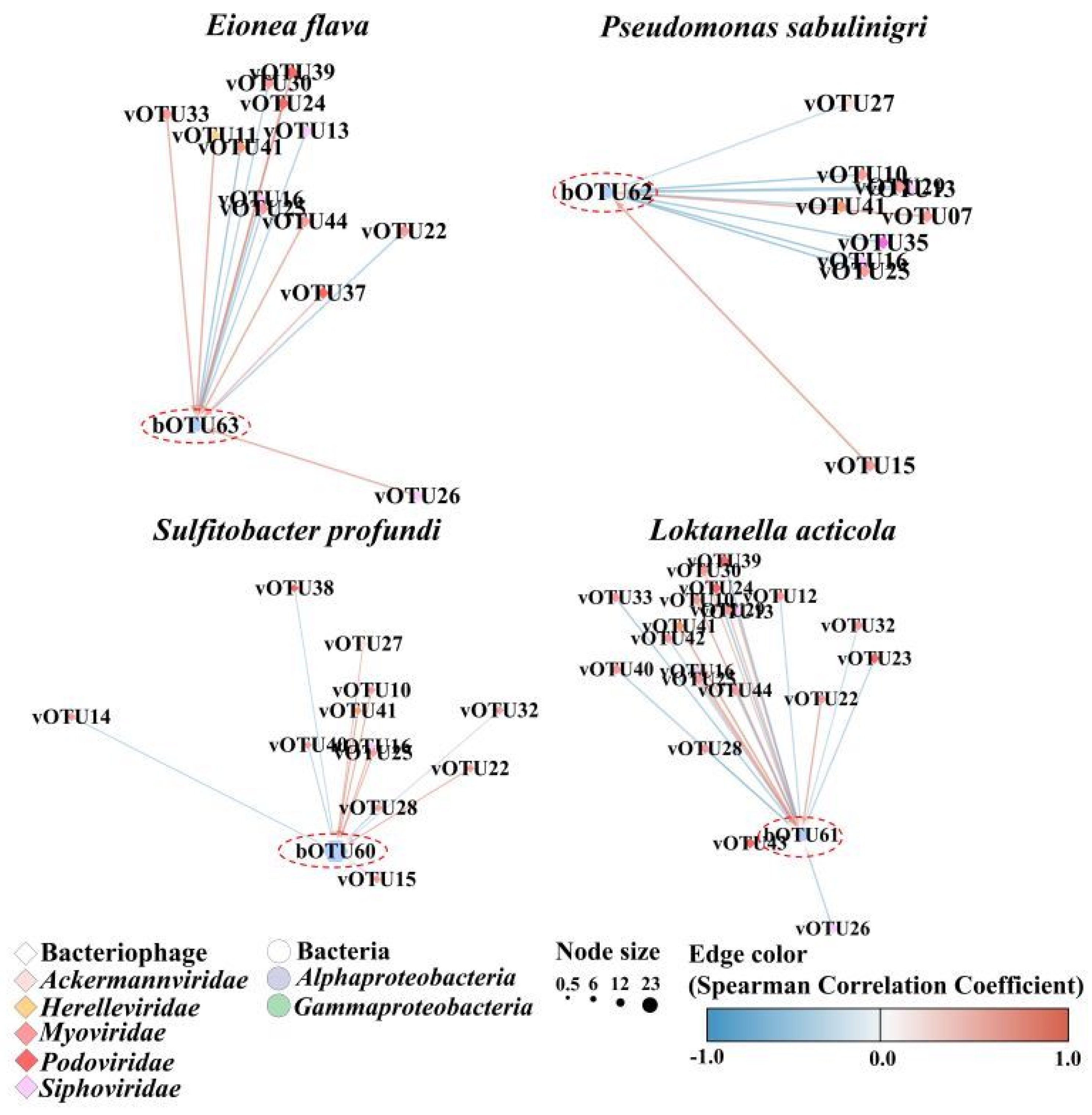 Microorganisms 12 00276 g006