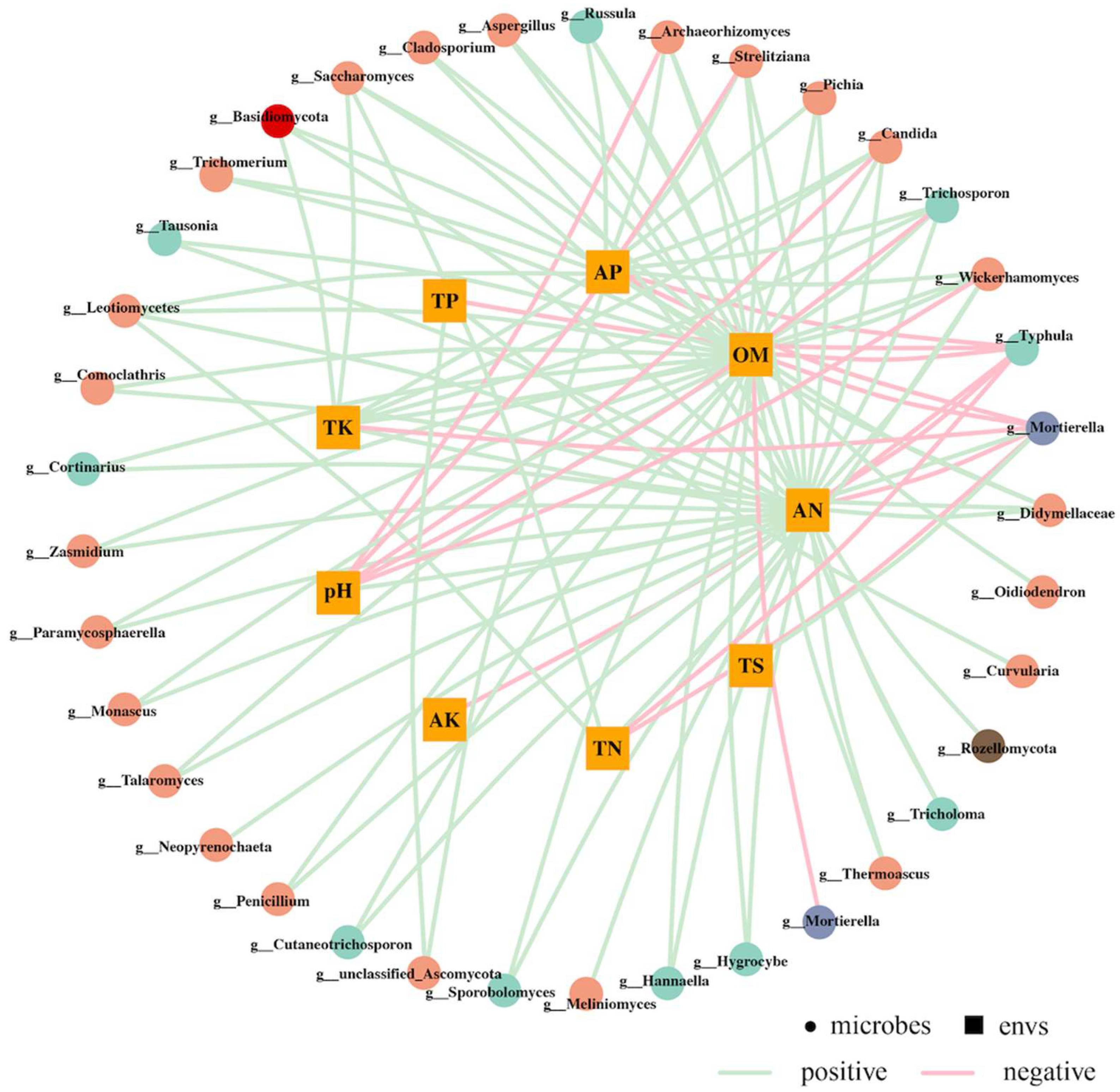Microorganisms 12 00277 g006