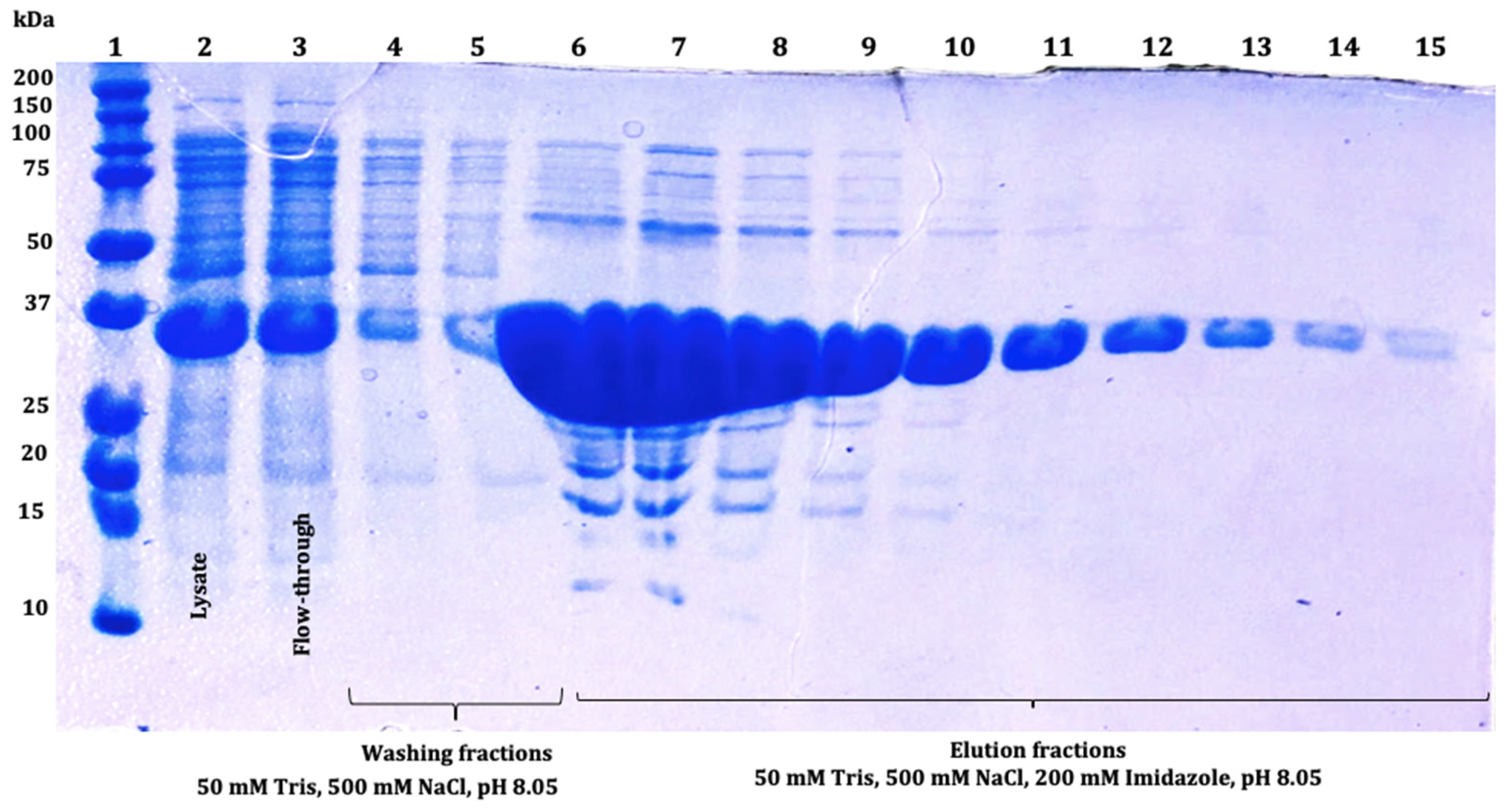Microorganisms 12 00278 g007