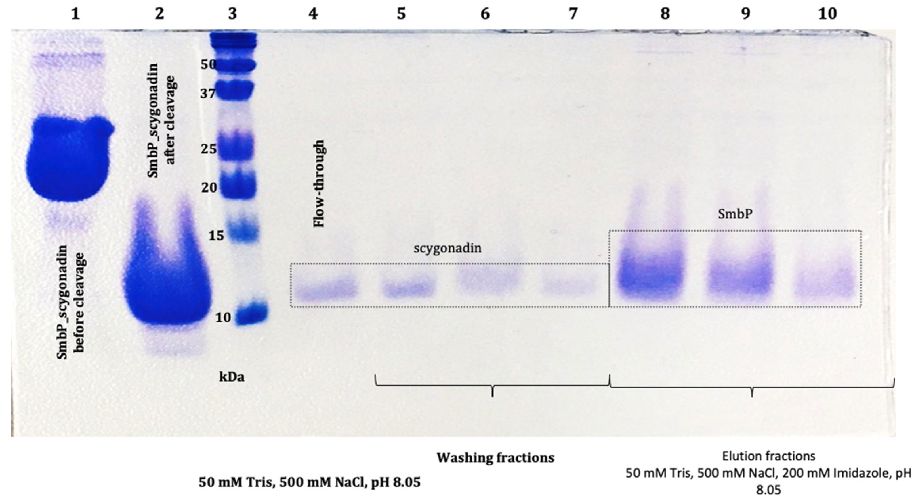 Microorganisms 12 00278 g008