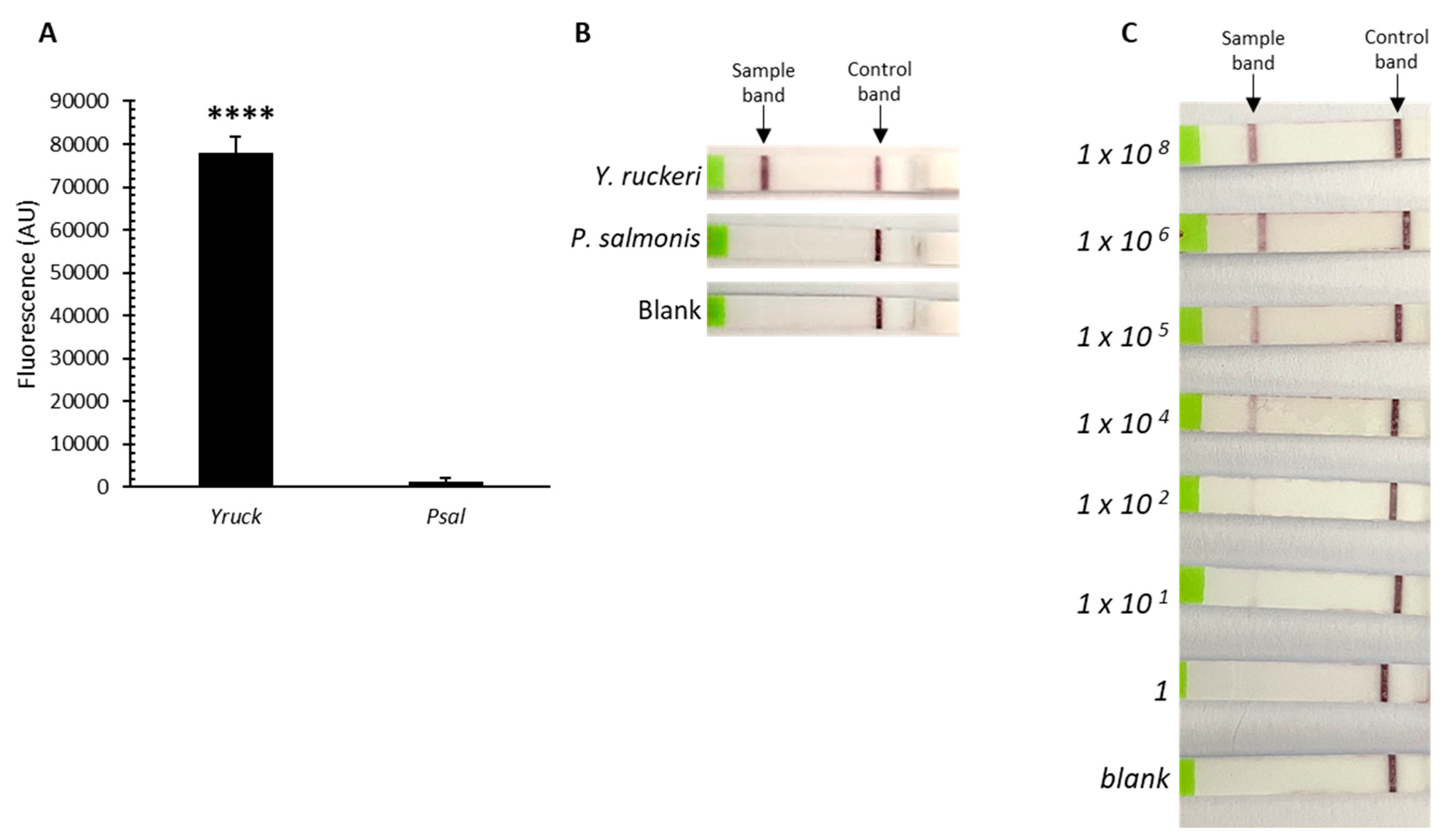 Microorganisms 12 00283 g002
