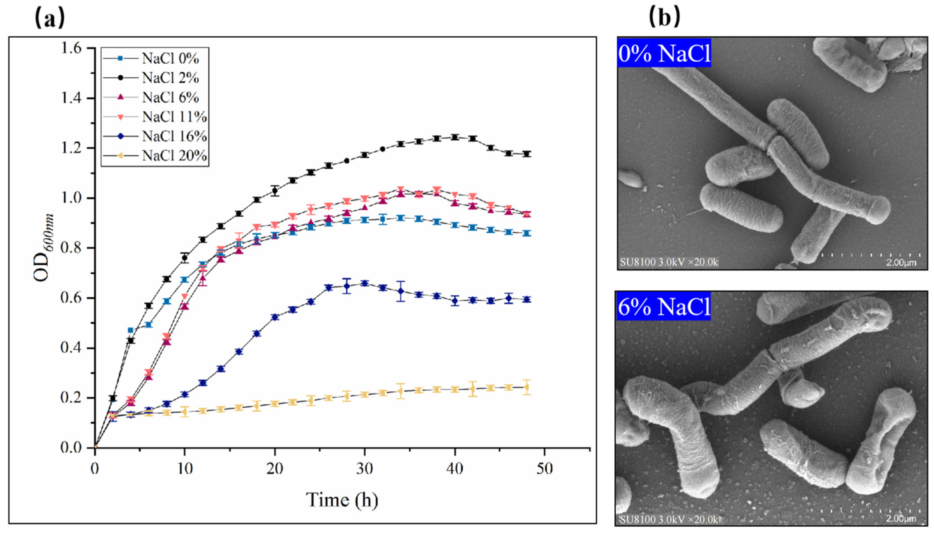 Microorganisms 12 00285 g001 Microorganisms 12 00285 g001