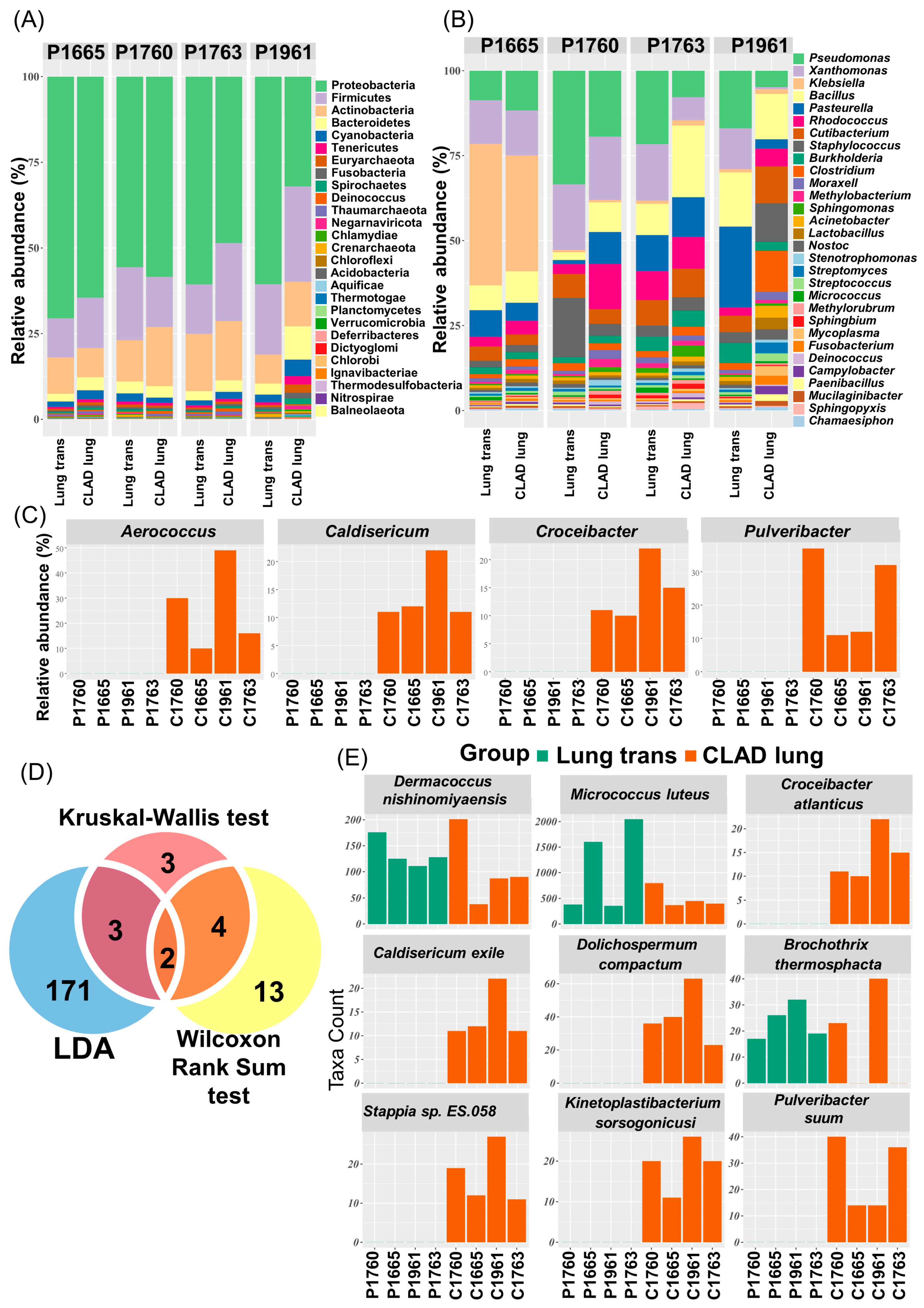 Microorganisms 12 00287 g002