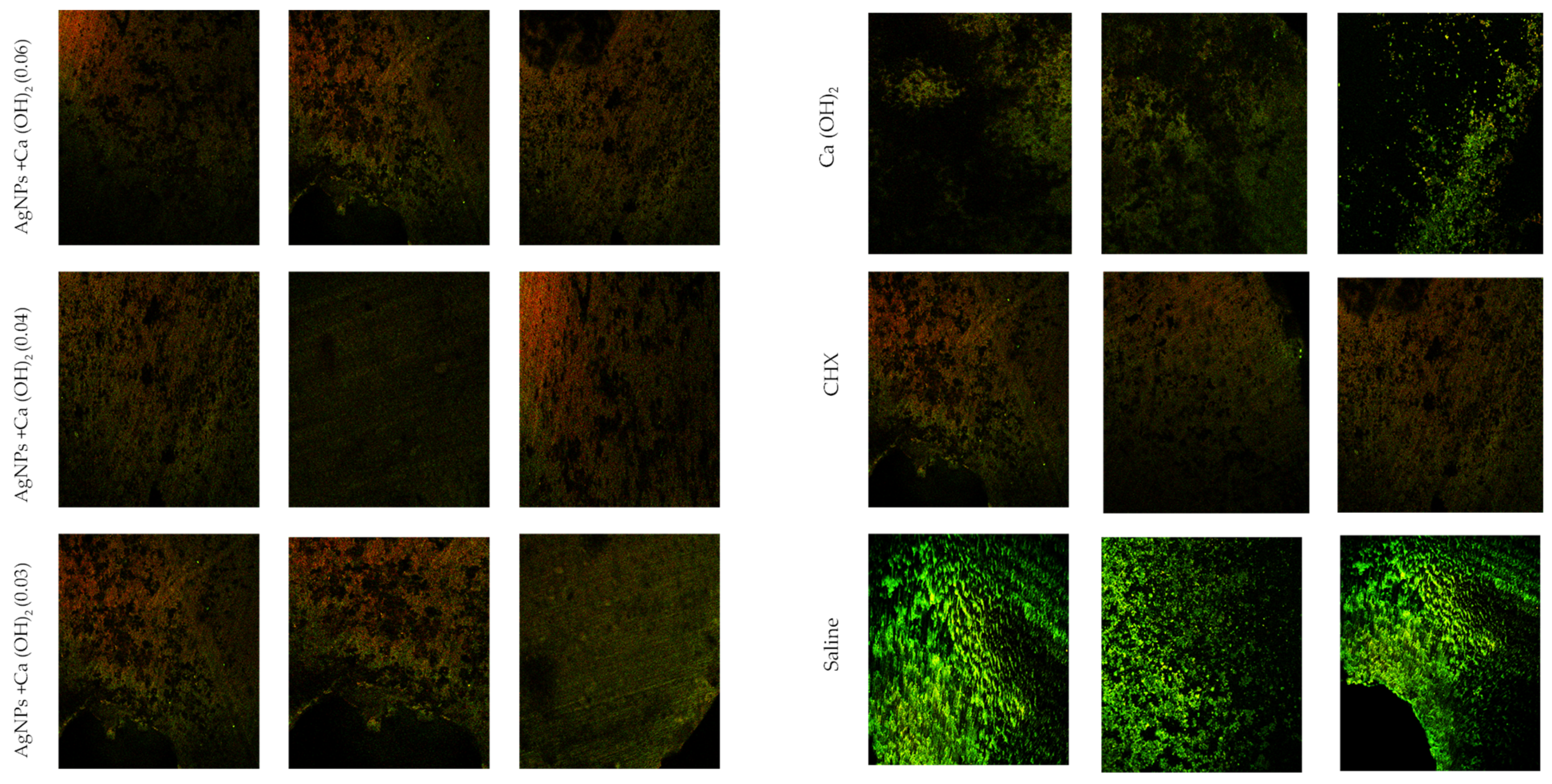 Microorganisms 12 00289 g004