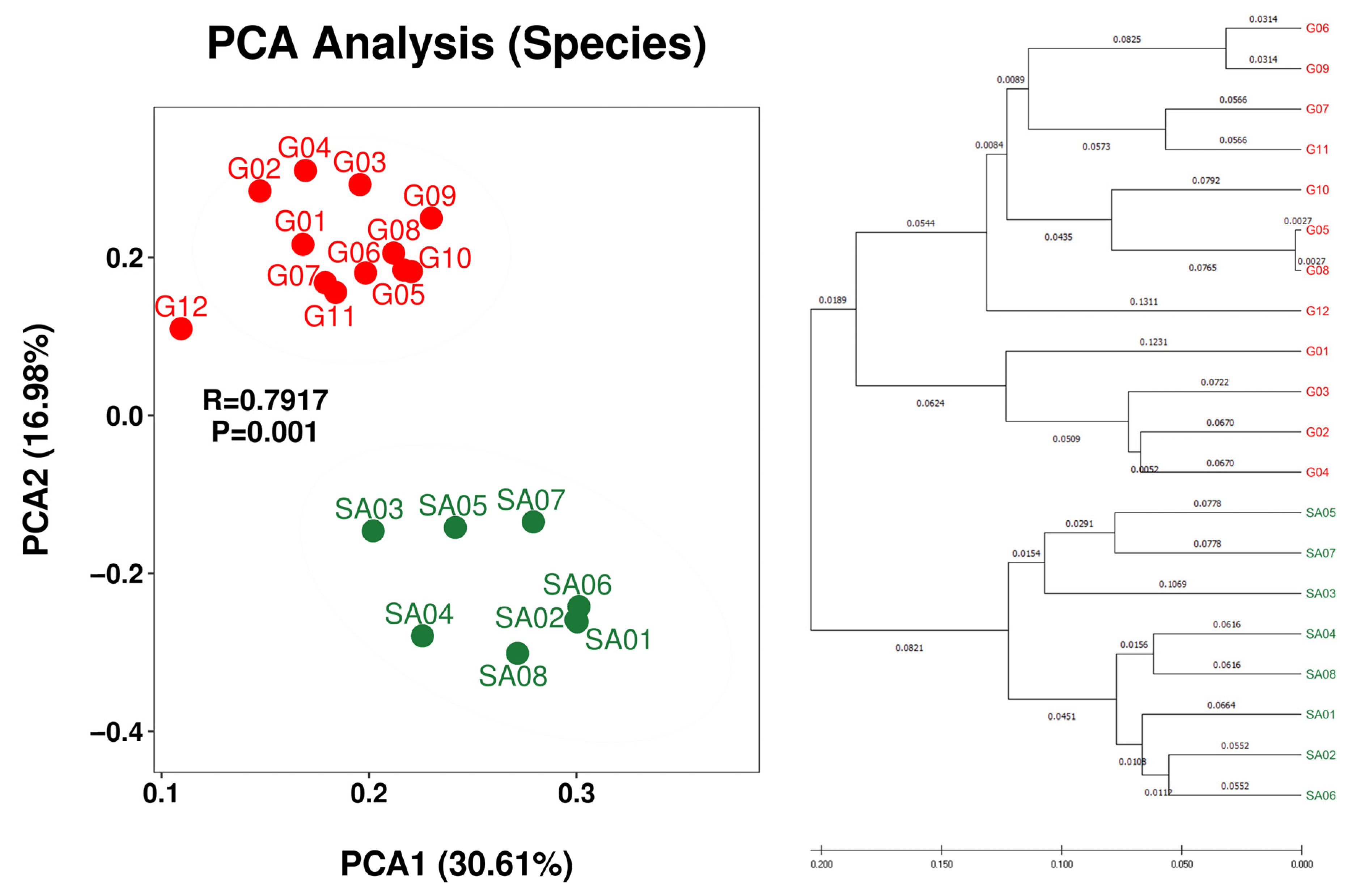 Microorganisms 12 00290 g003