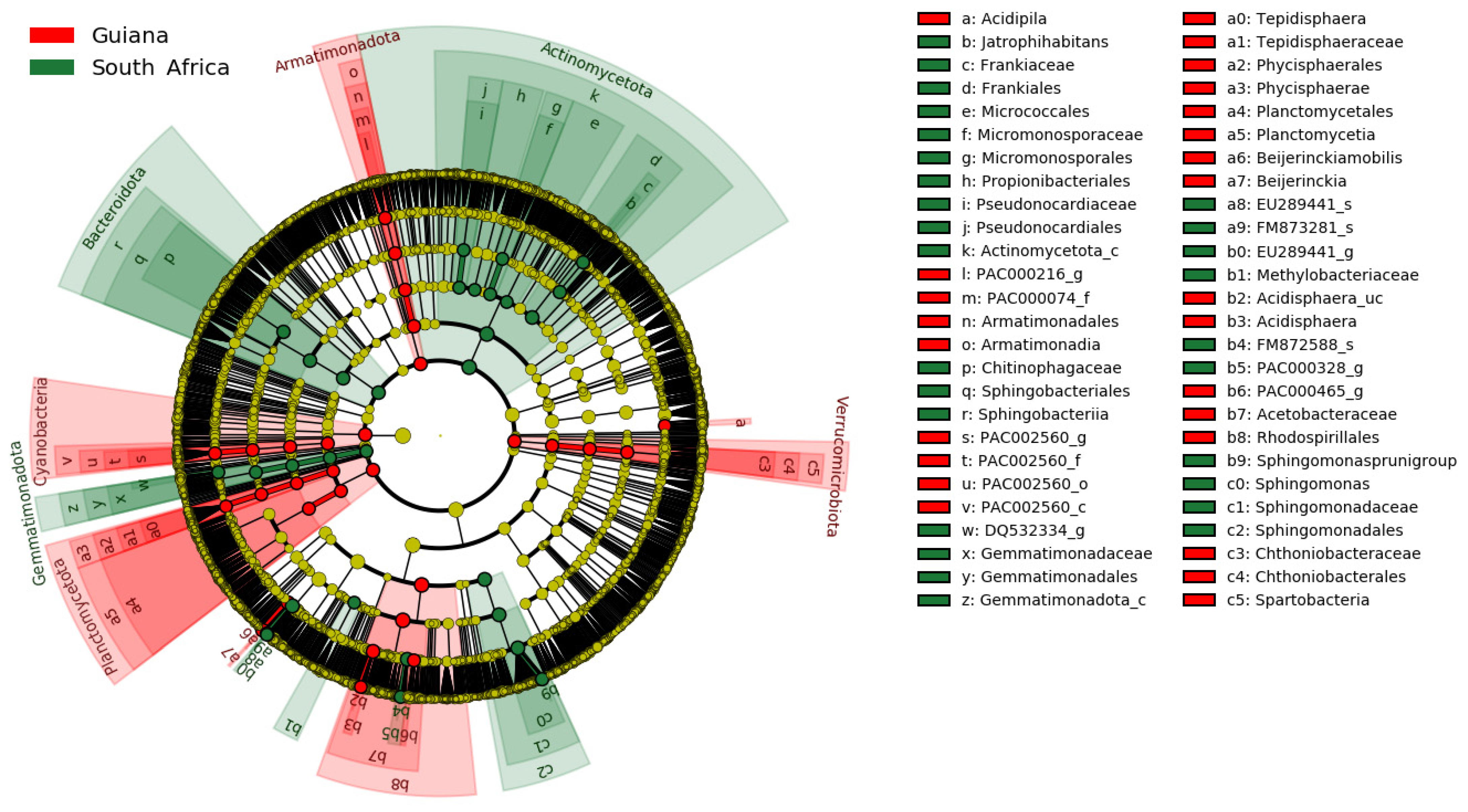 Microorganisms 12 00290 g004